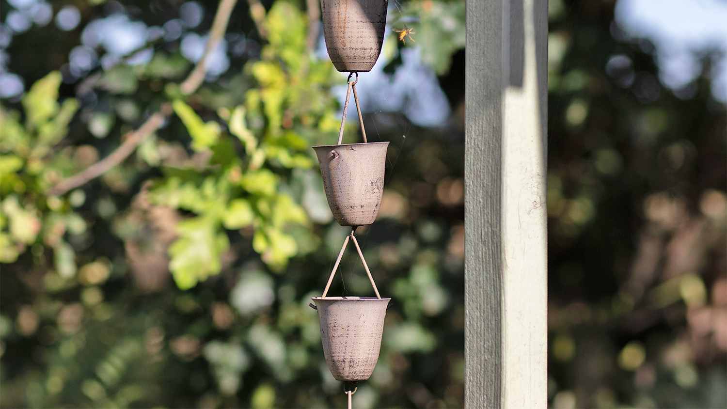 garden rain chain