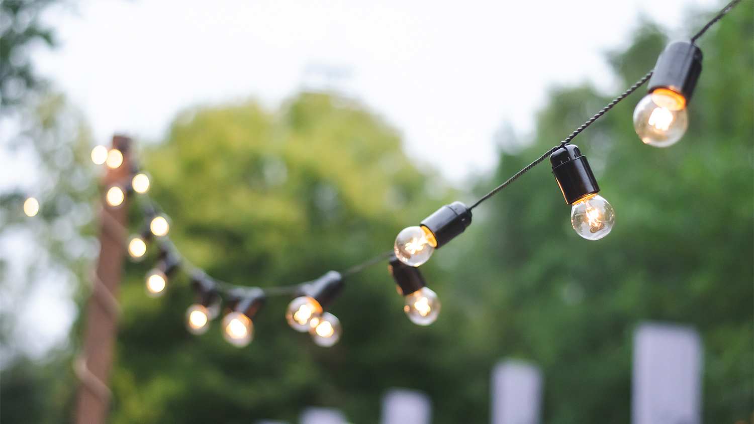 string lights hanging in the yard