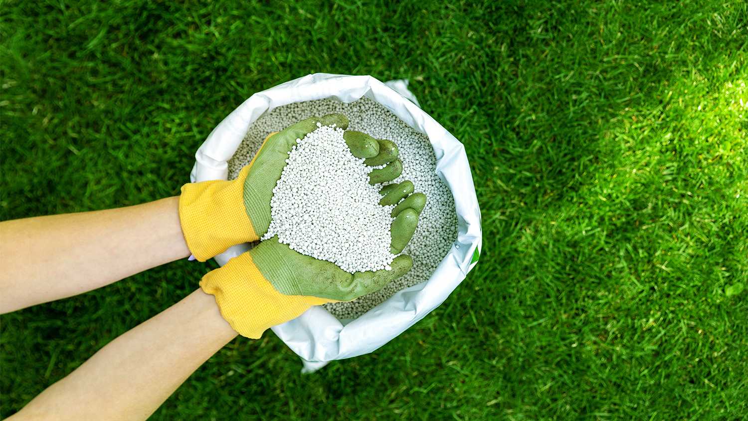 woman holding granular fertilizer for grass