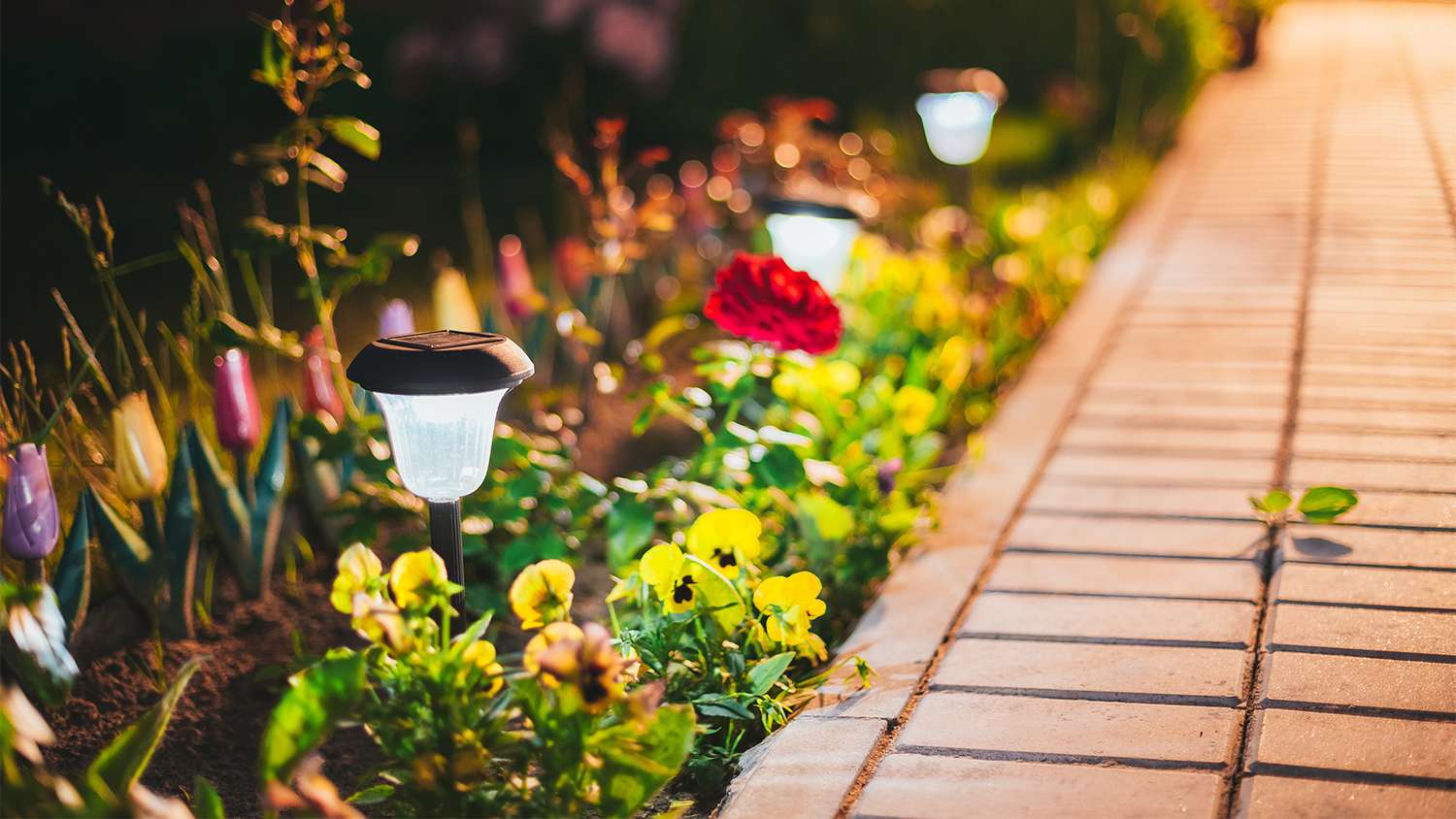 LED path lights in a bed of flowers