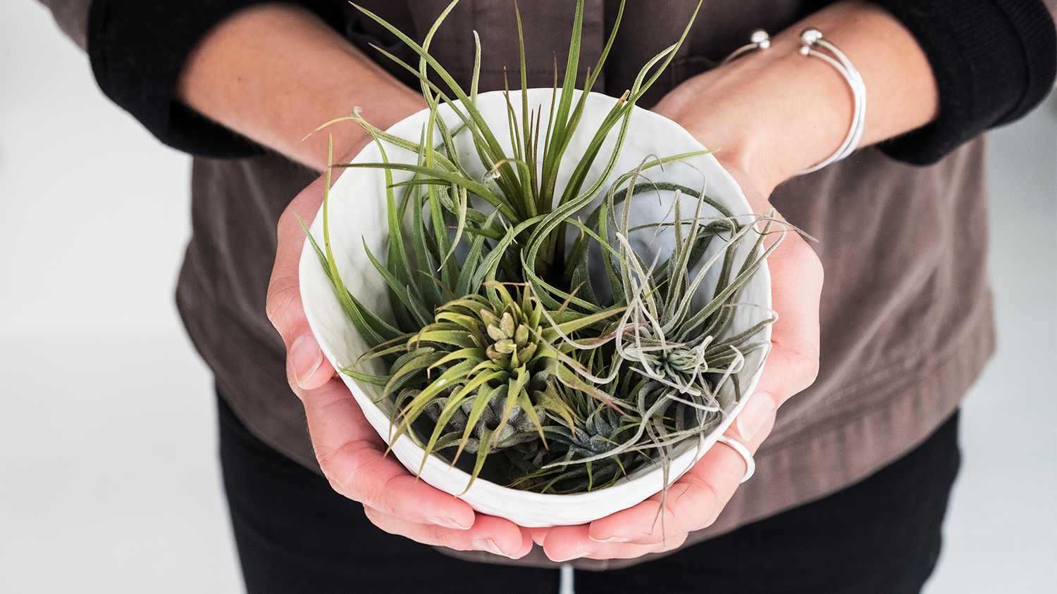 woman holding a plant pot with air plants