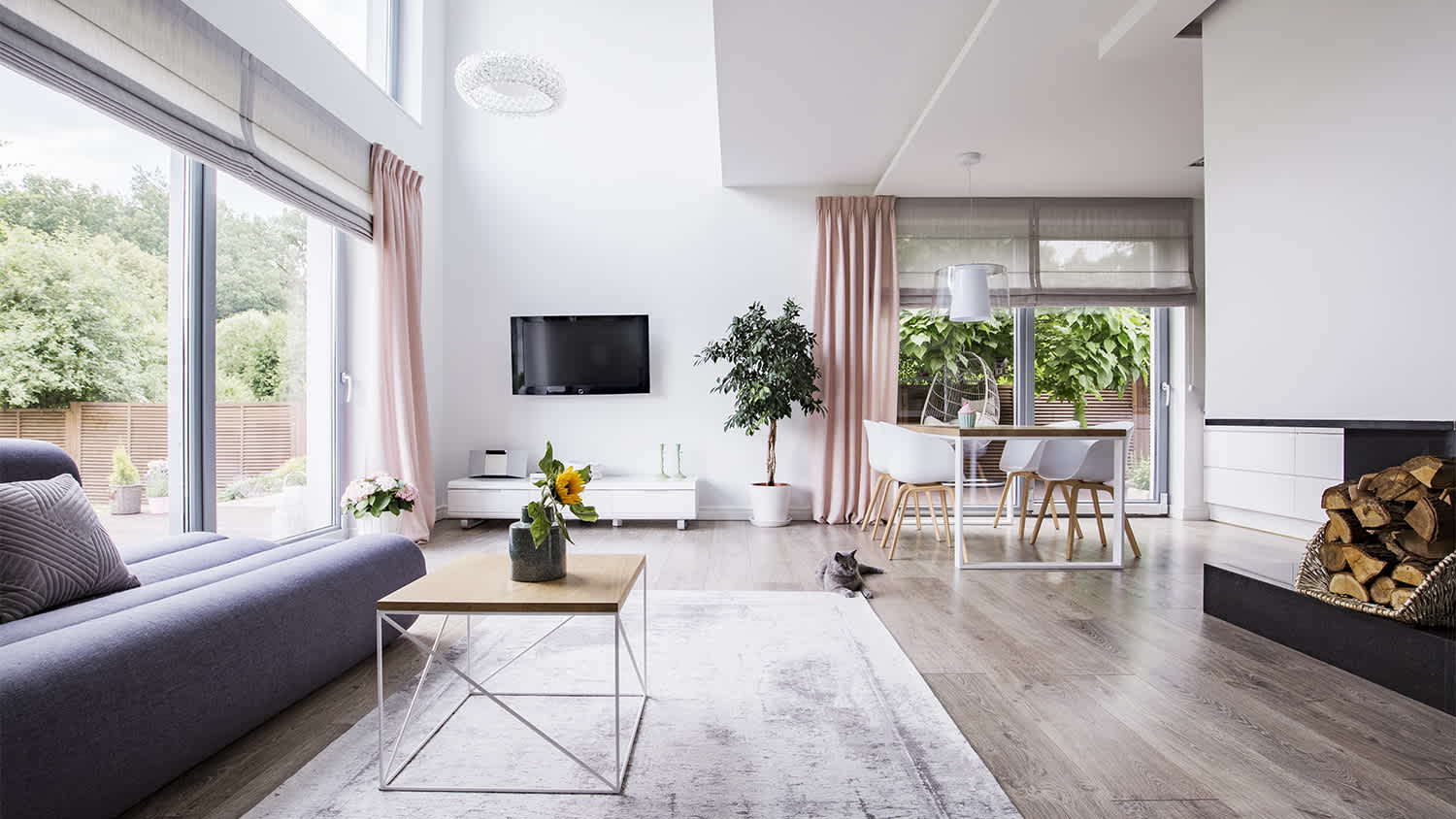 bright and spacious living room with gray couch