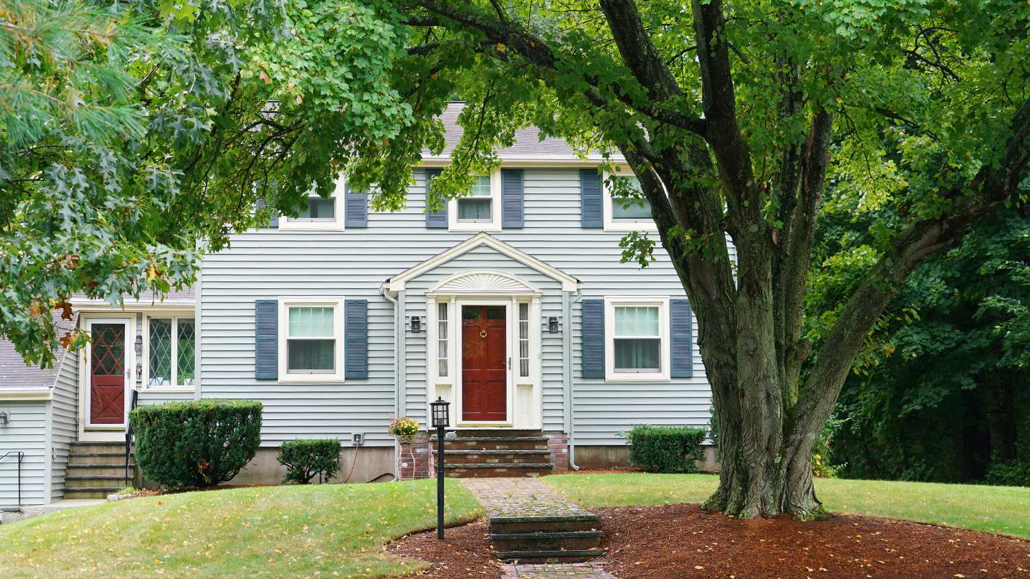 large tree in front of residential home