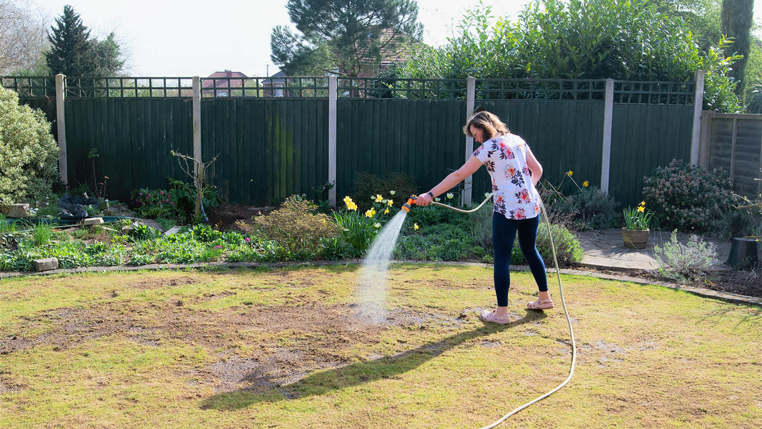 woman treating damaged lawn
