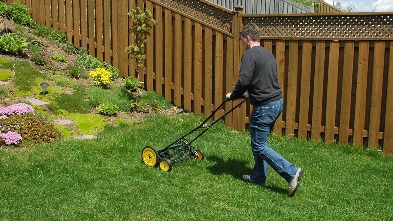 man cutting the grass using a reel mower