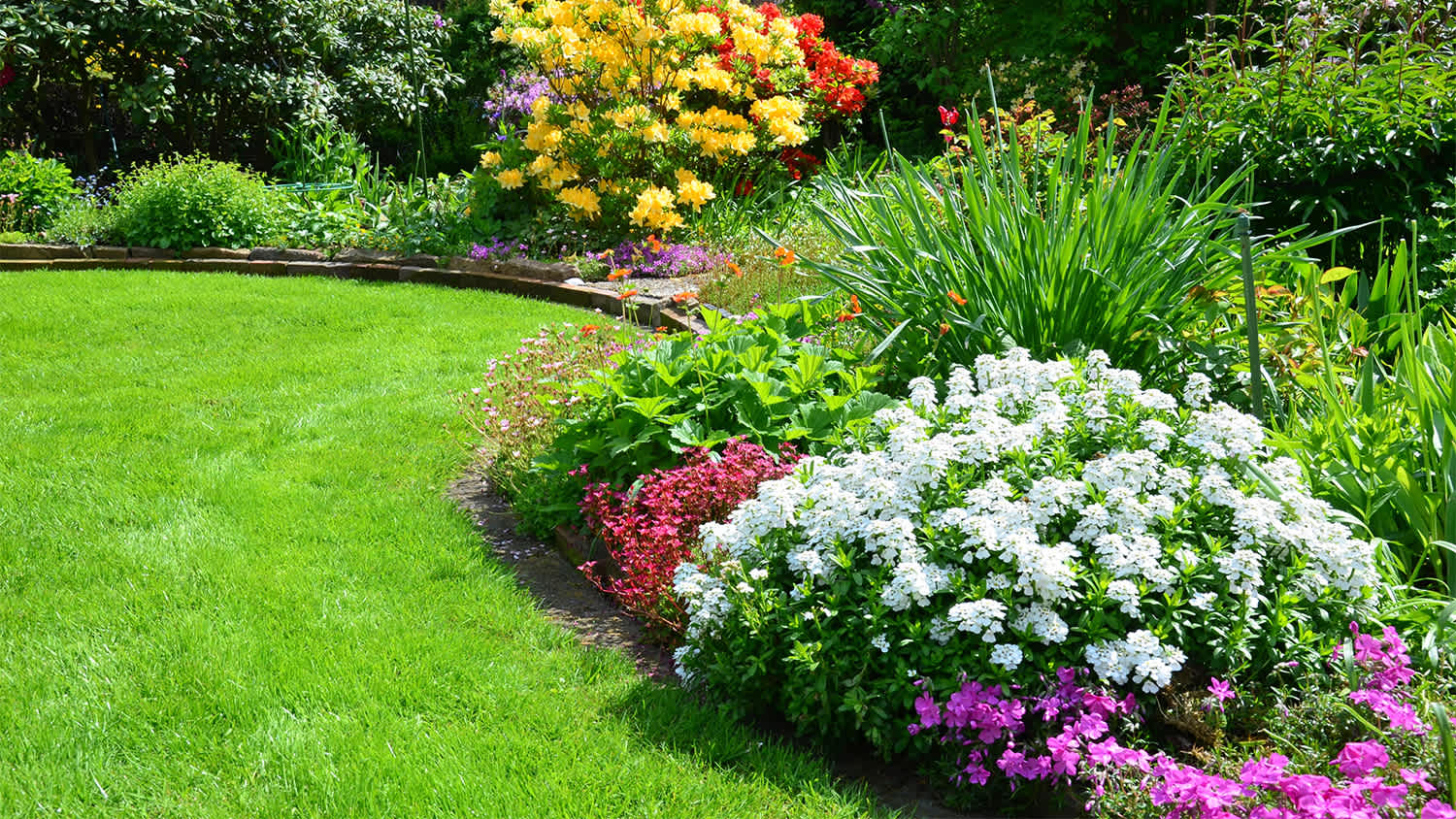 well landscaped lawn and garden