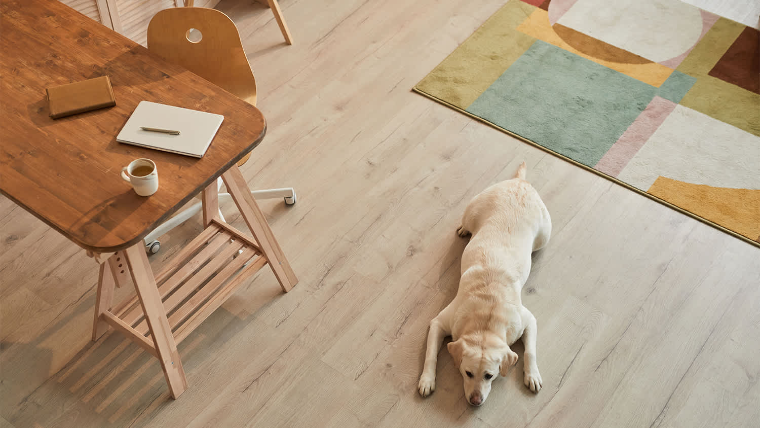 dog laying down on hardwood floor