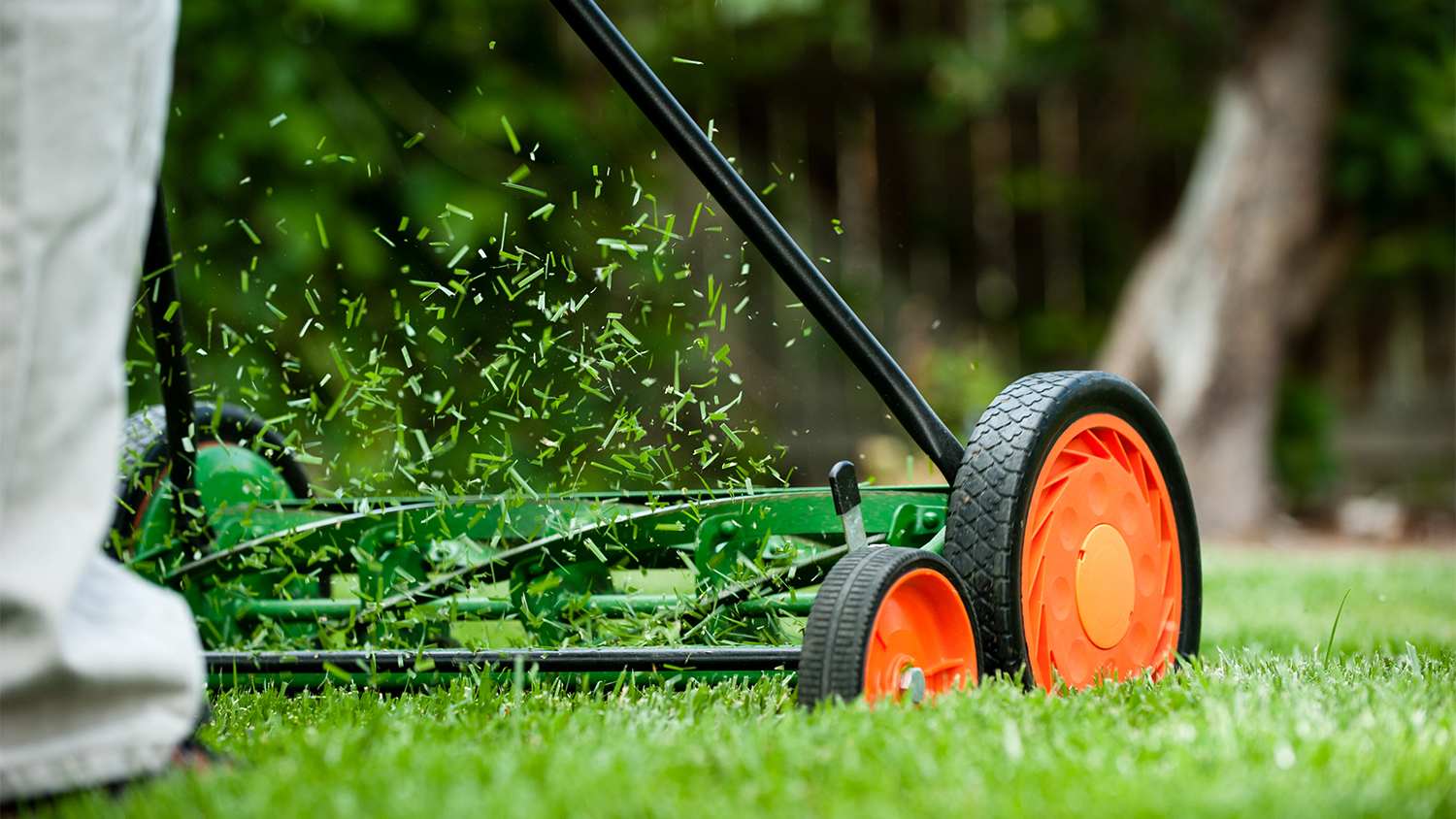 close up shot of man using reel mower