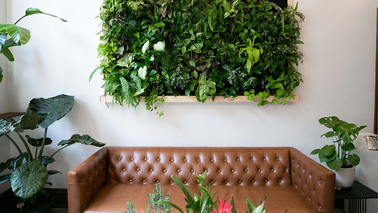 vertical garden in living room wall