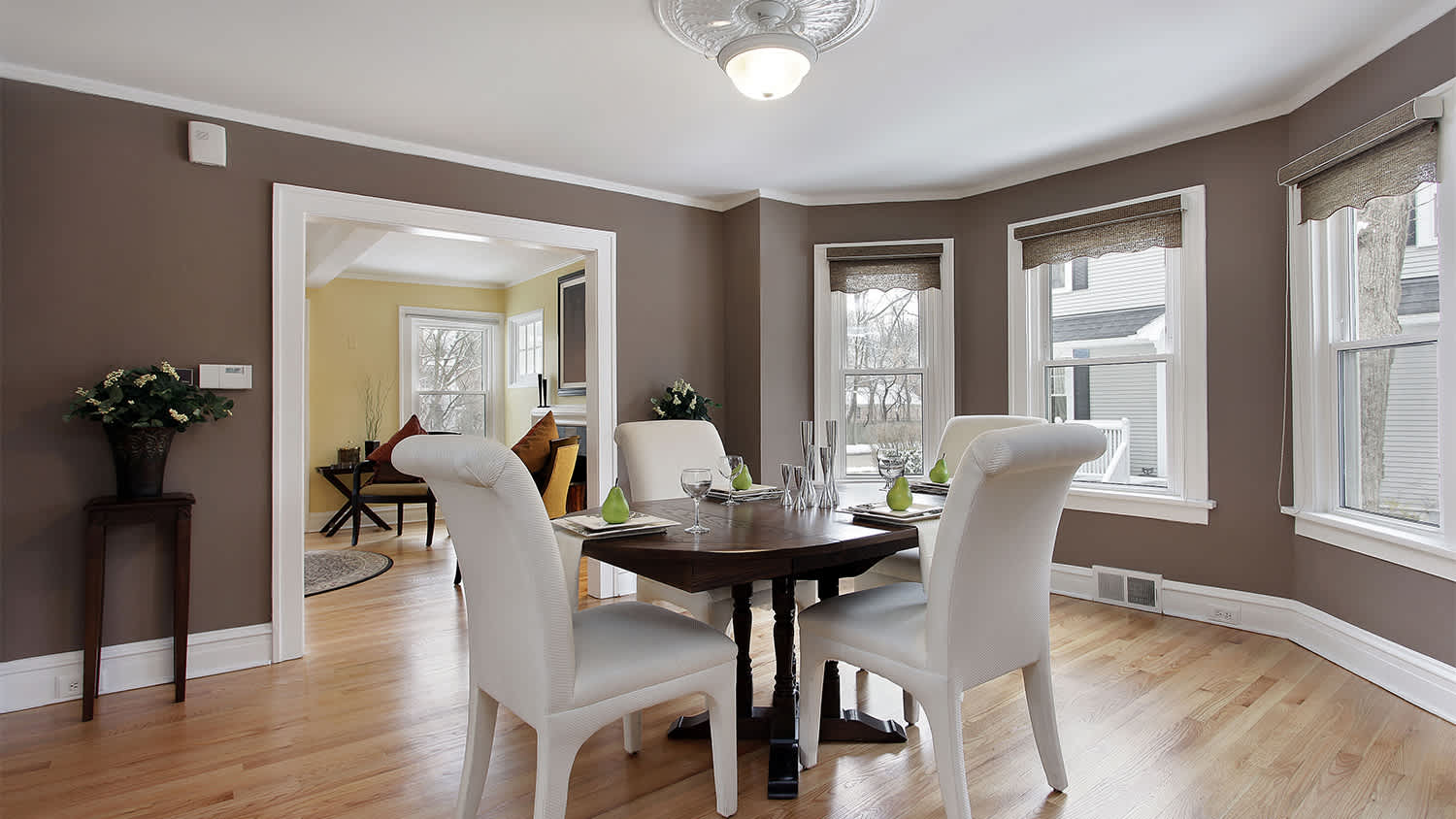 dining room with grounded light fixture