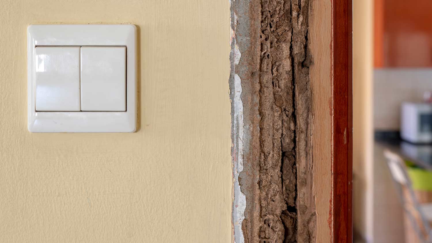 wood damage door frame