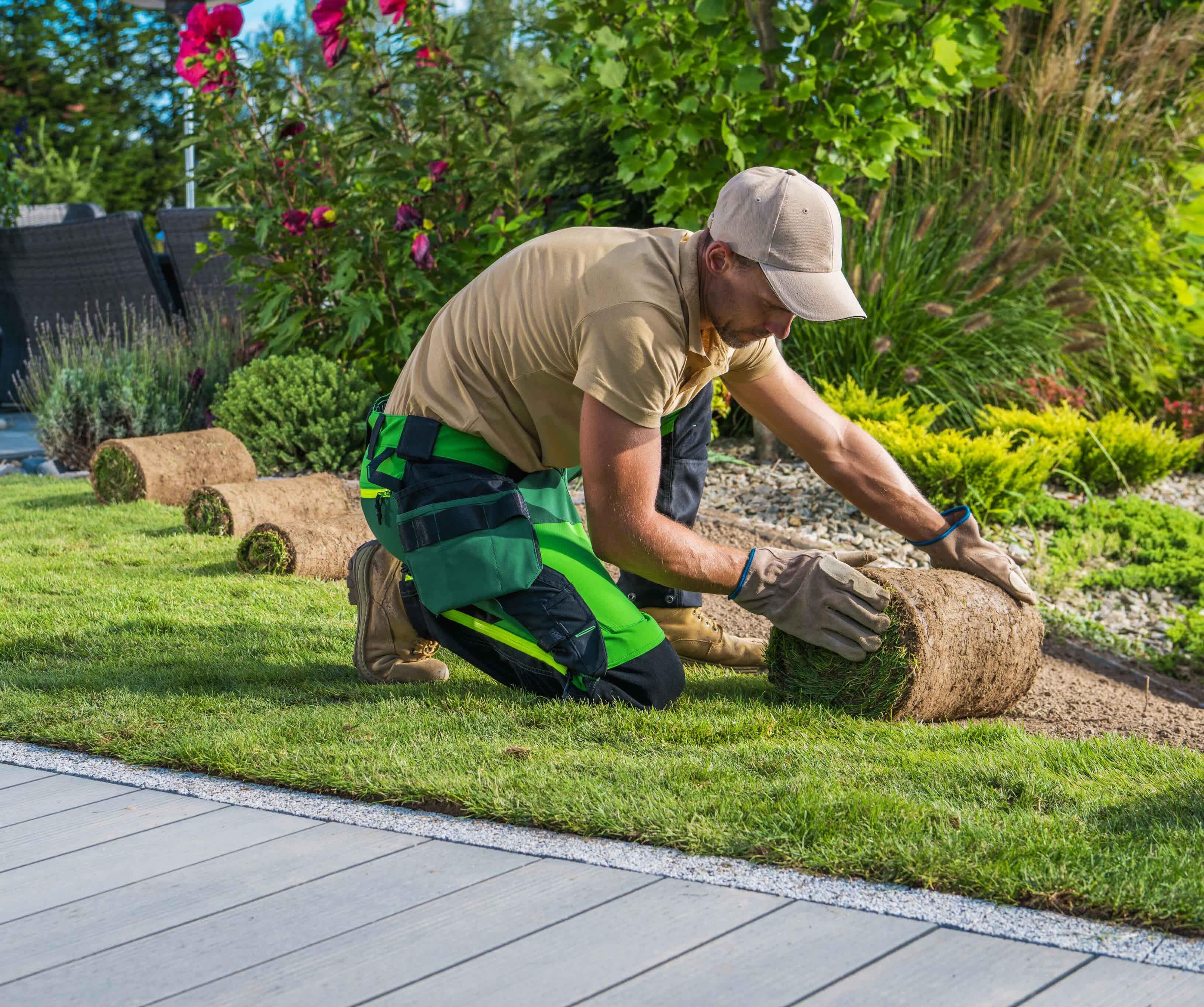 Man laying down sod in yard