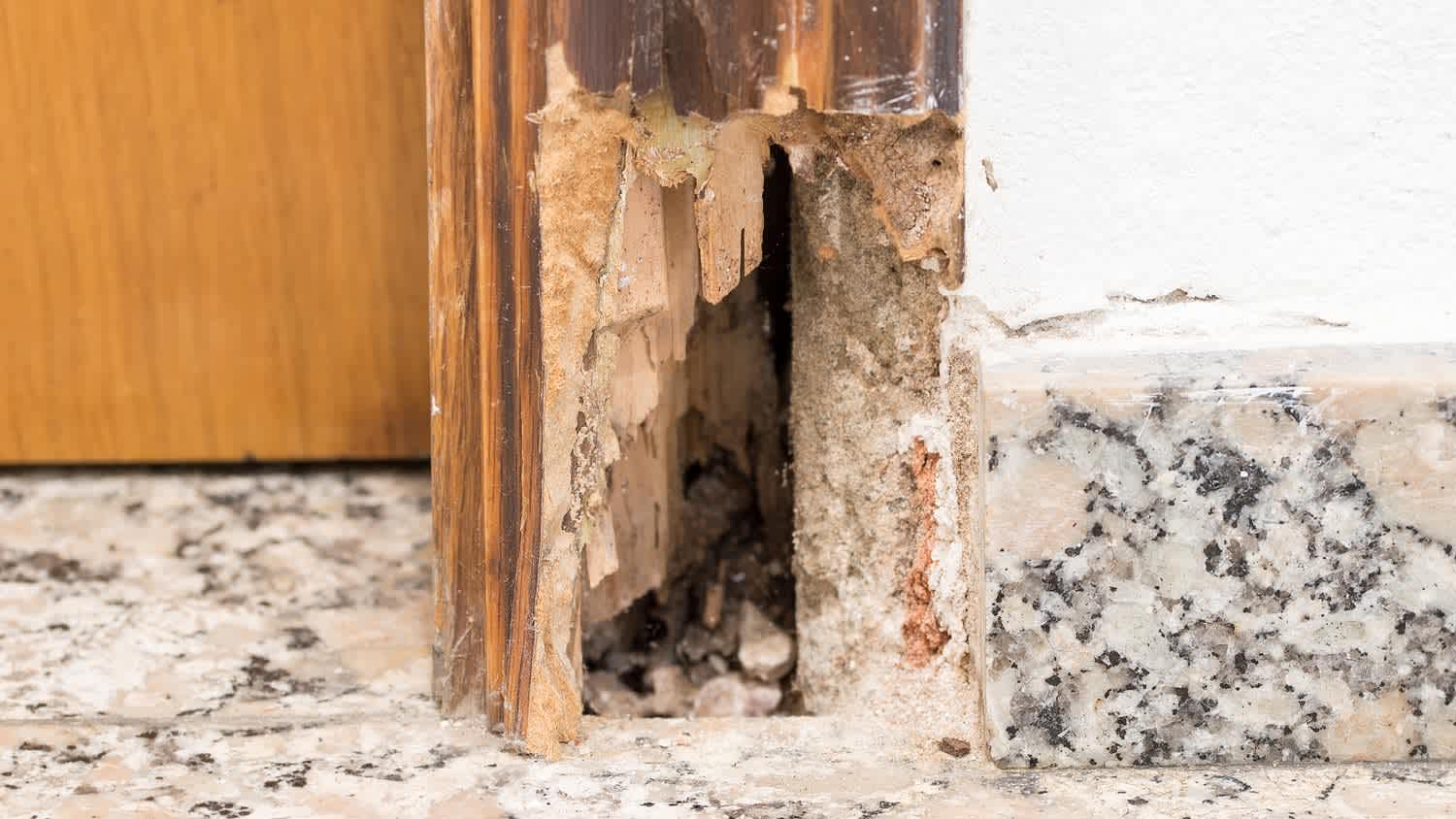 Rotten wooden door frame