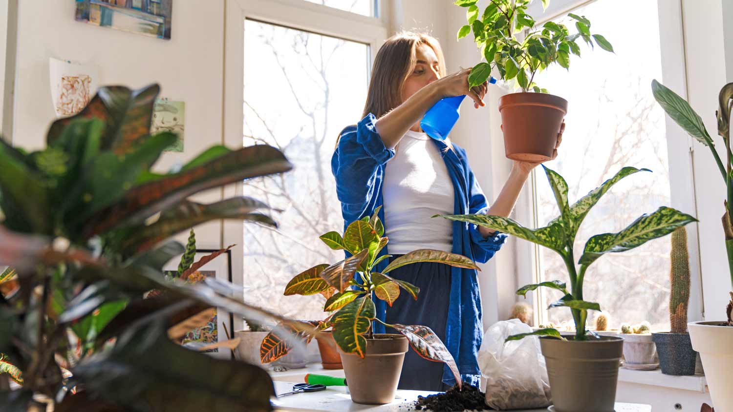 woman watering plants in home