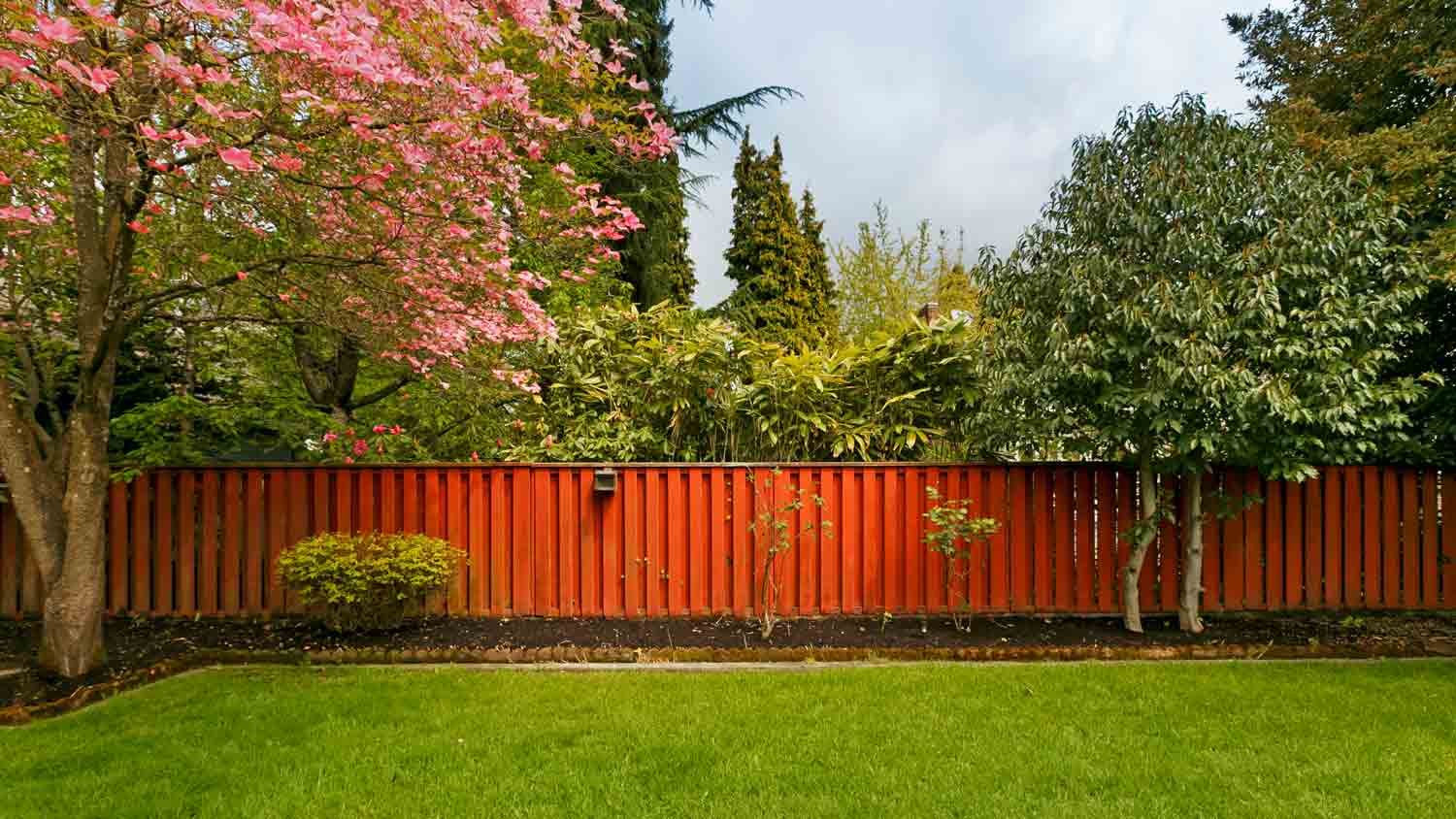 redwood fence in backyard