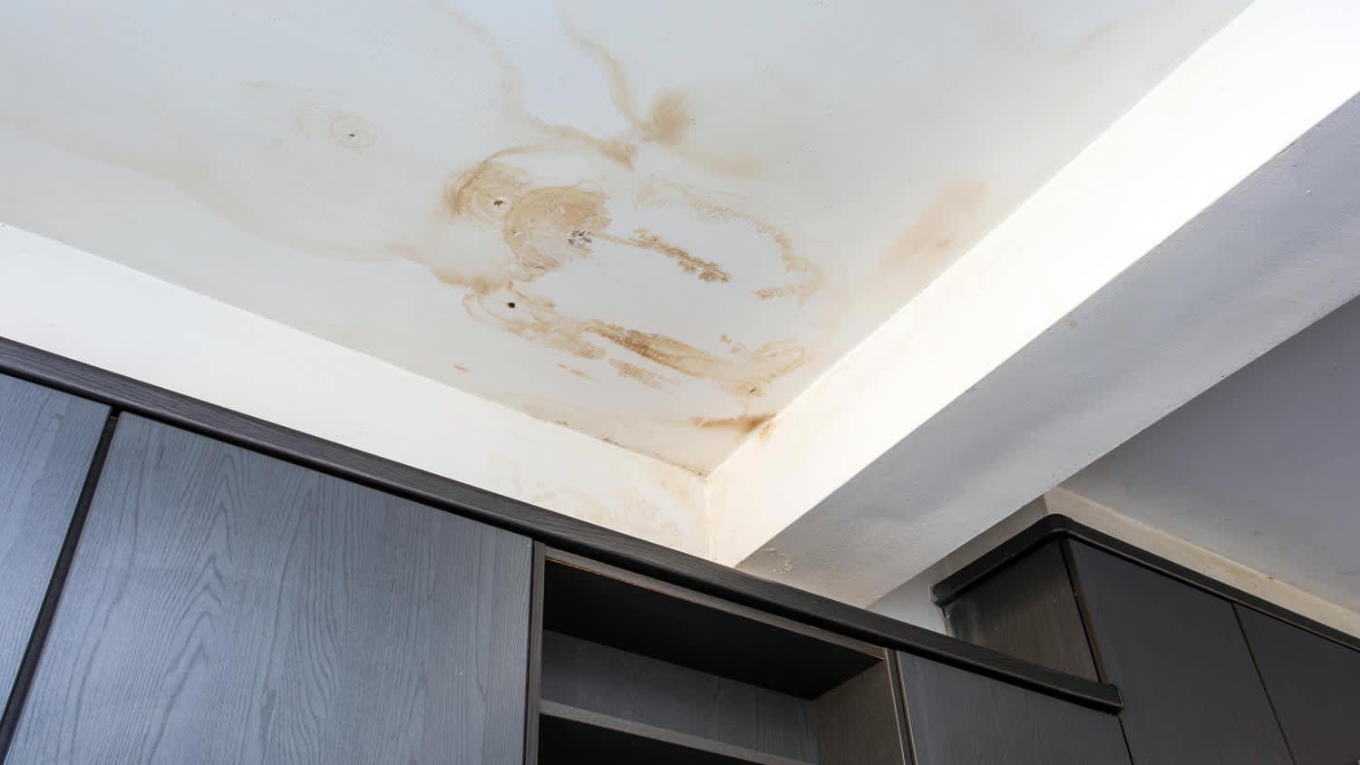 stained ceiling due to mold