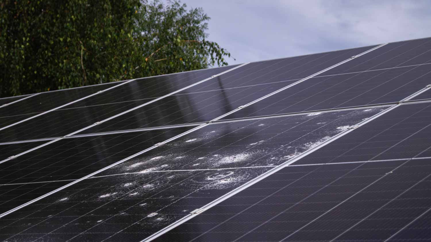 Solar panel with visible hail damage
