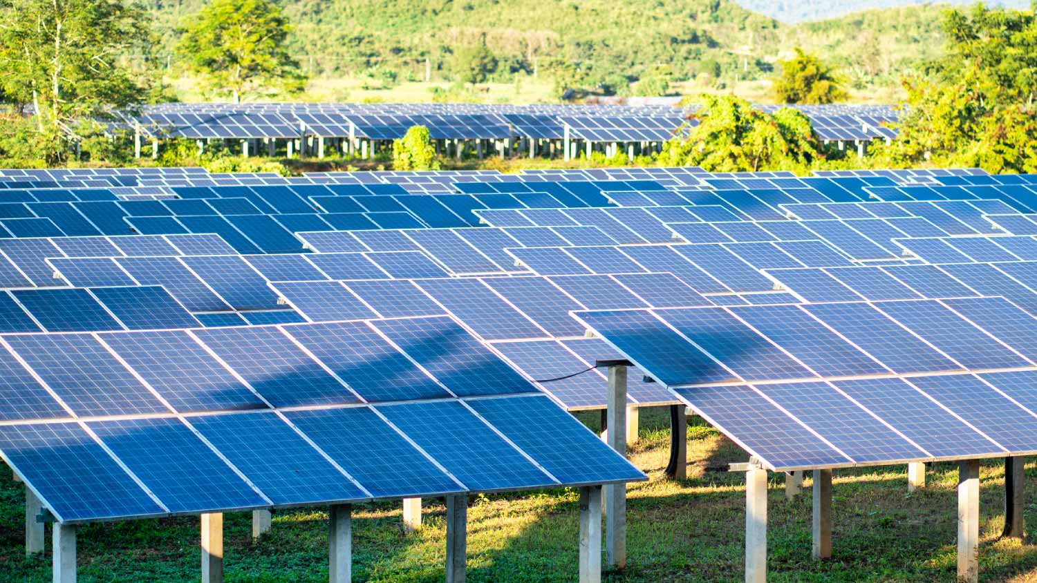 Field with solar panels