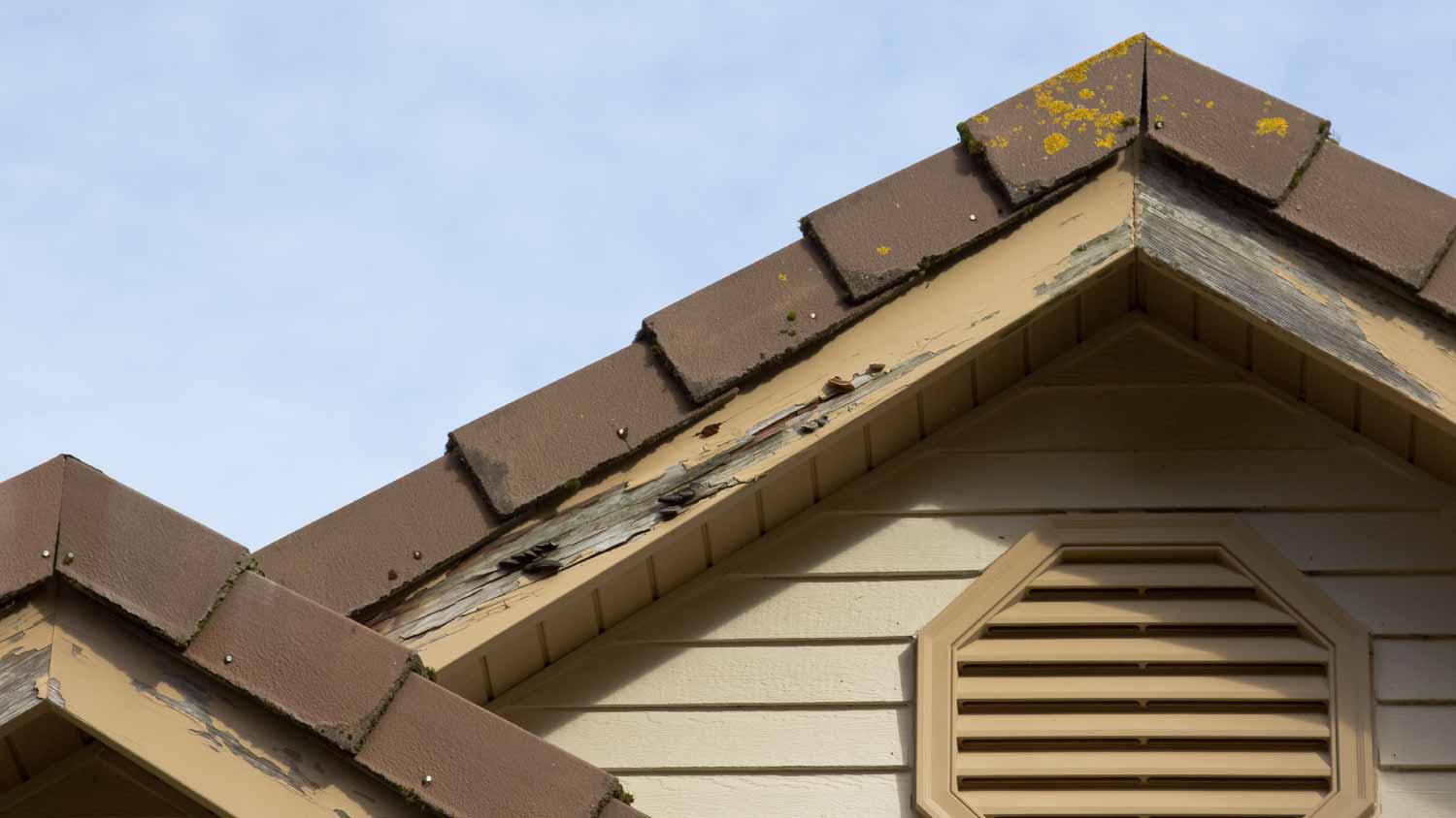 Rotten board on siding