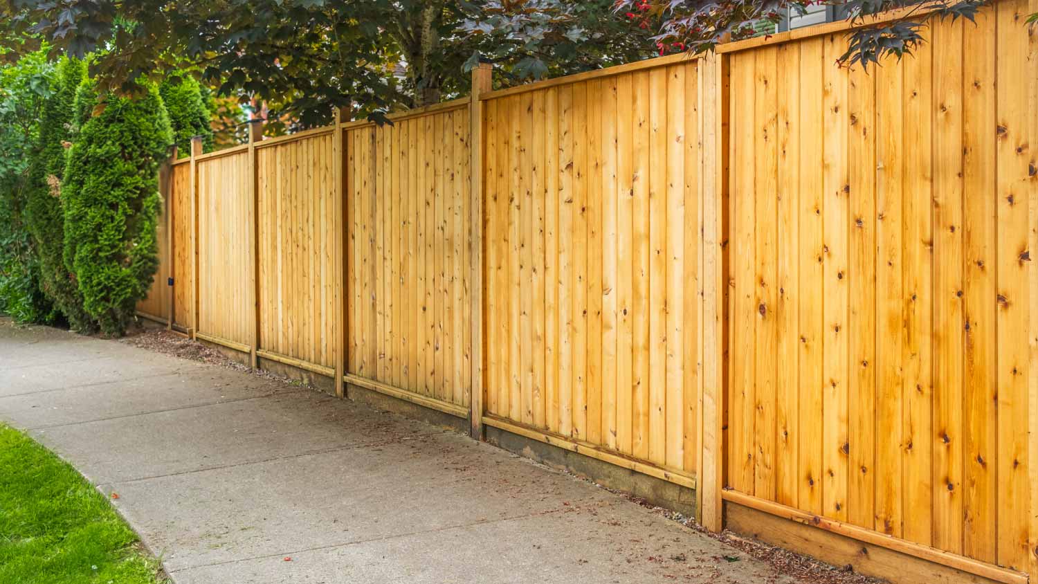 Big new wooden fence