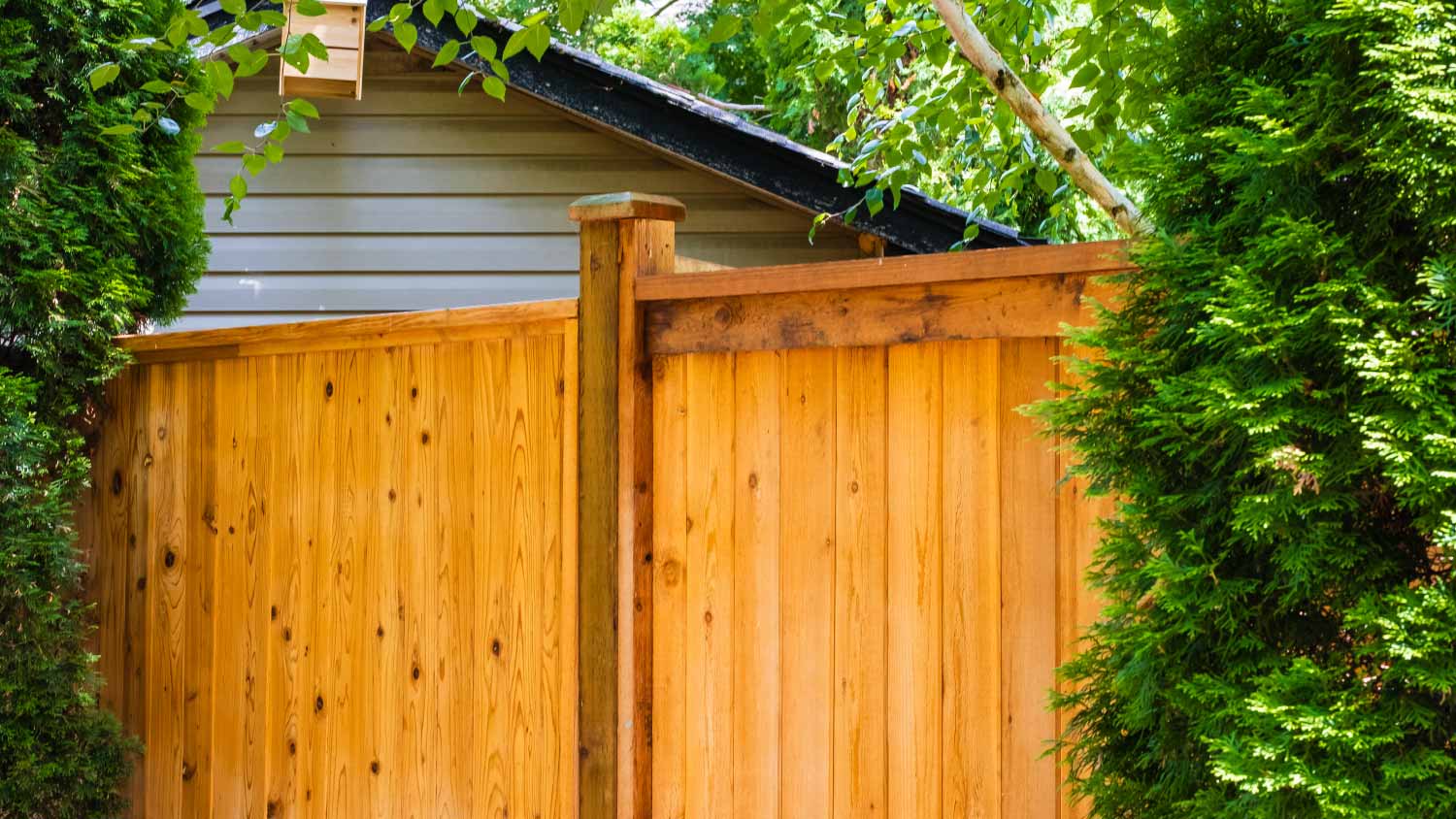 Wooden fence around the house