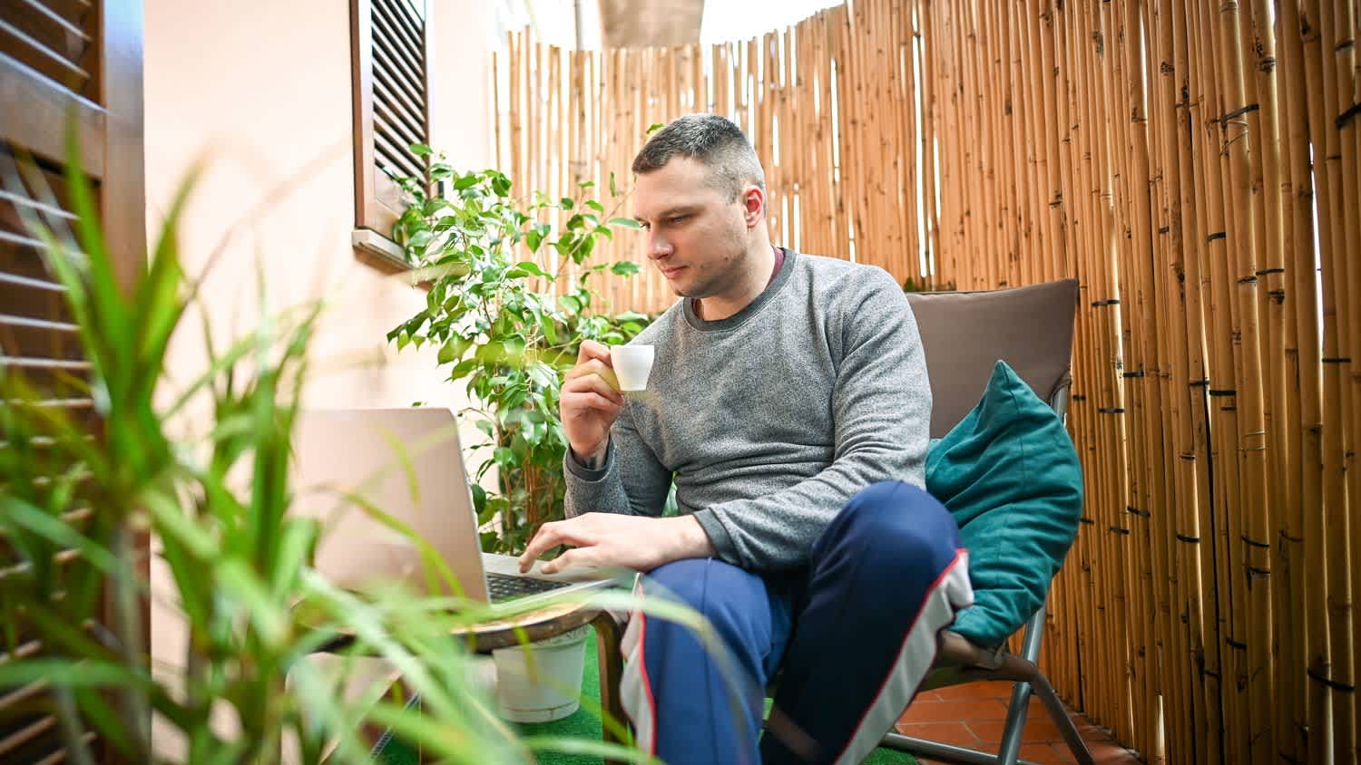 Man on laptop by bamboo fence