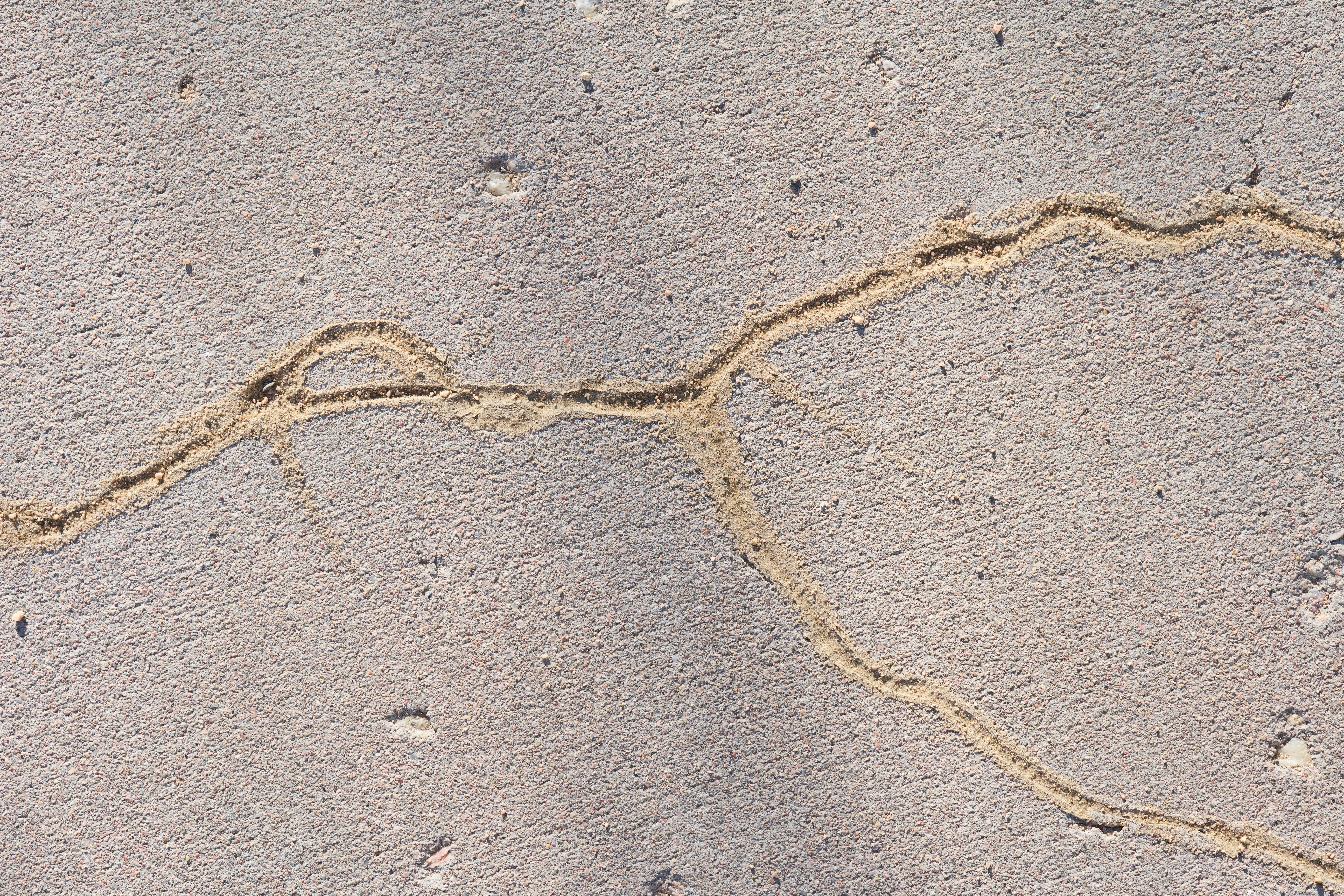 Detail of cracks in concrete.