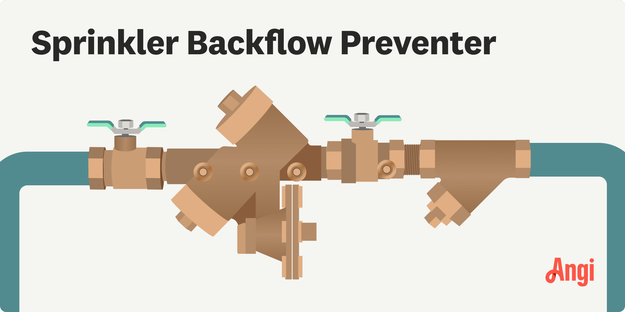 Sprinkler backflow preventer illustrated