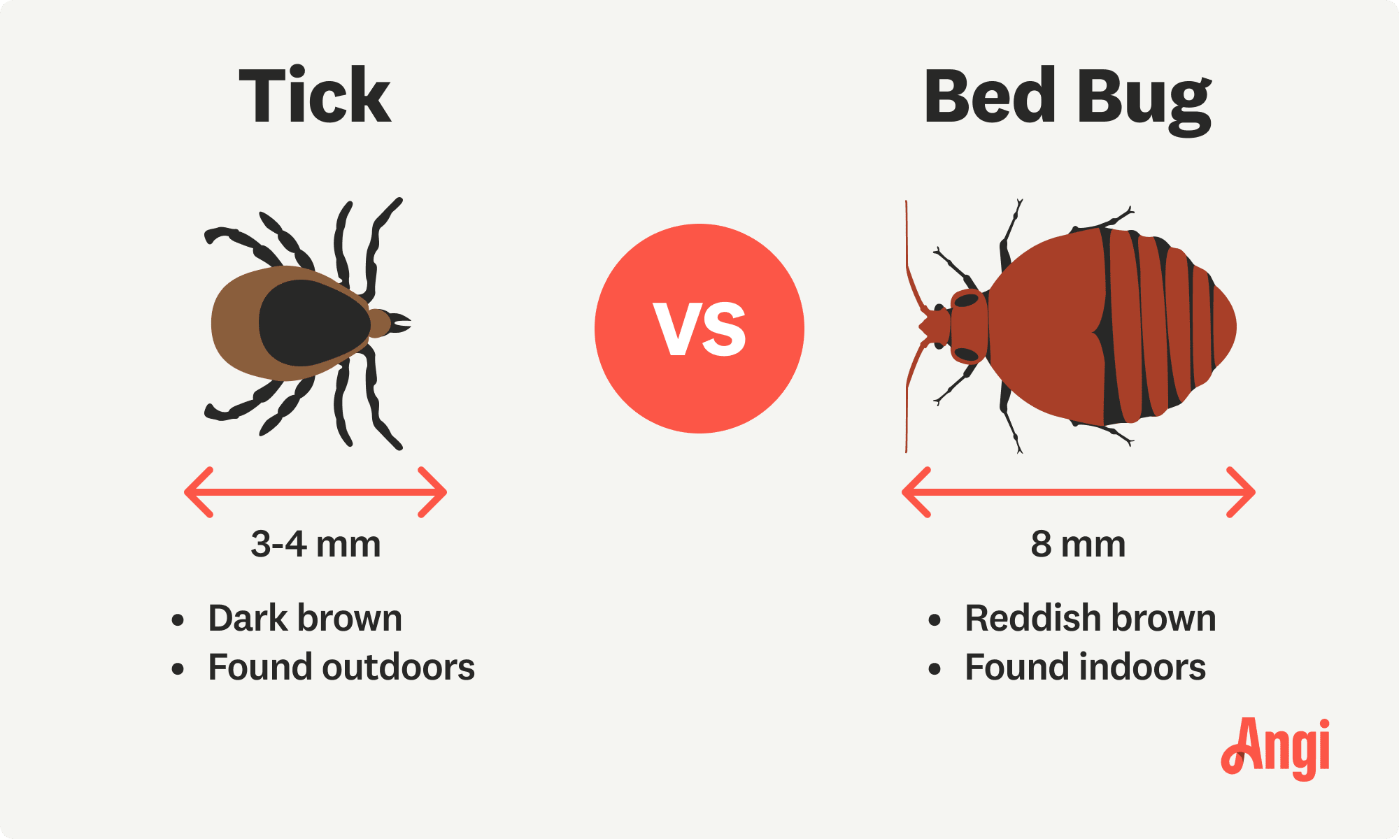 Tick versus bed bug illustrated, with bed bugs being a reddish brown color, and ticks are dark brown