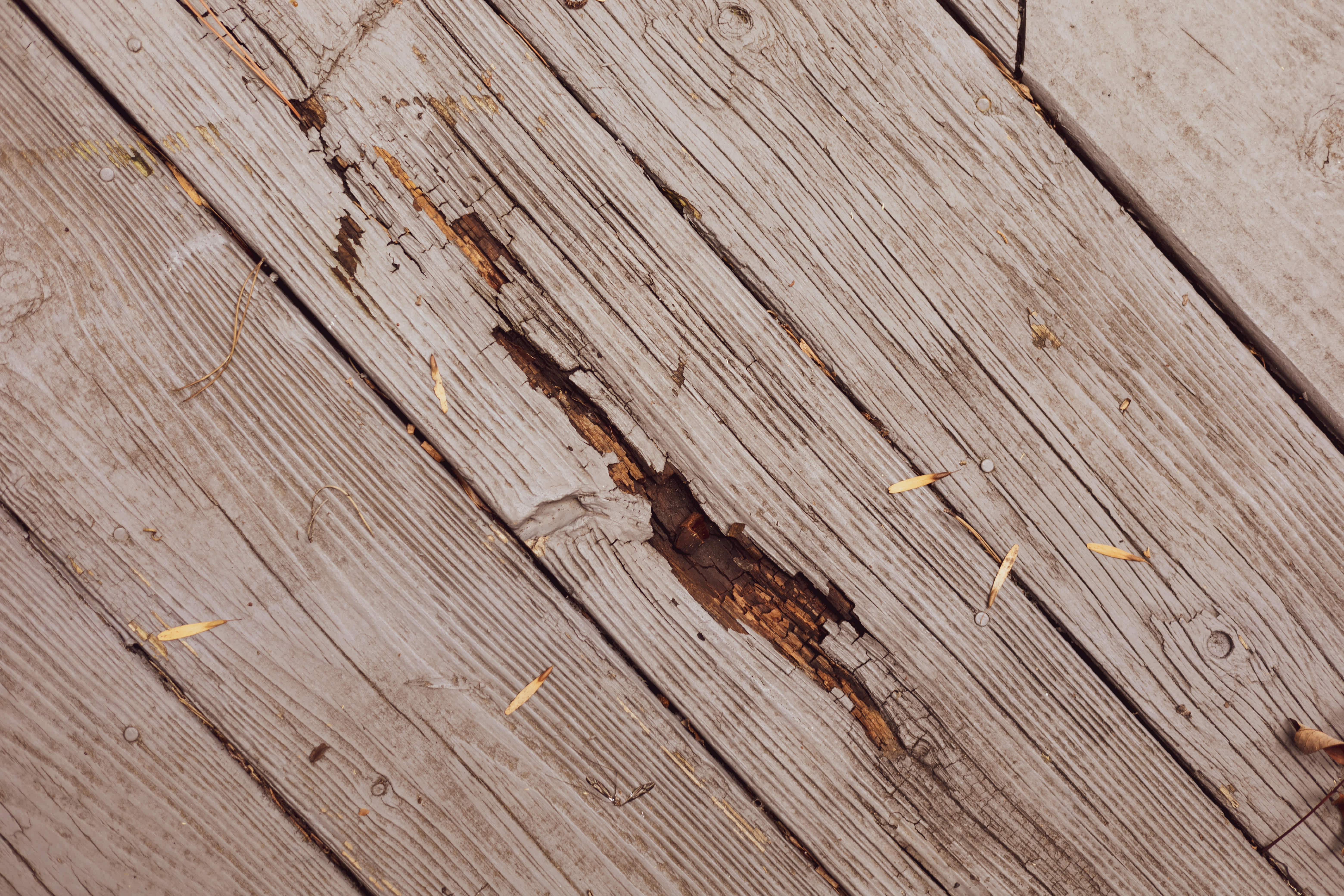 Rotting wood on outdoor patio deck