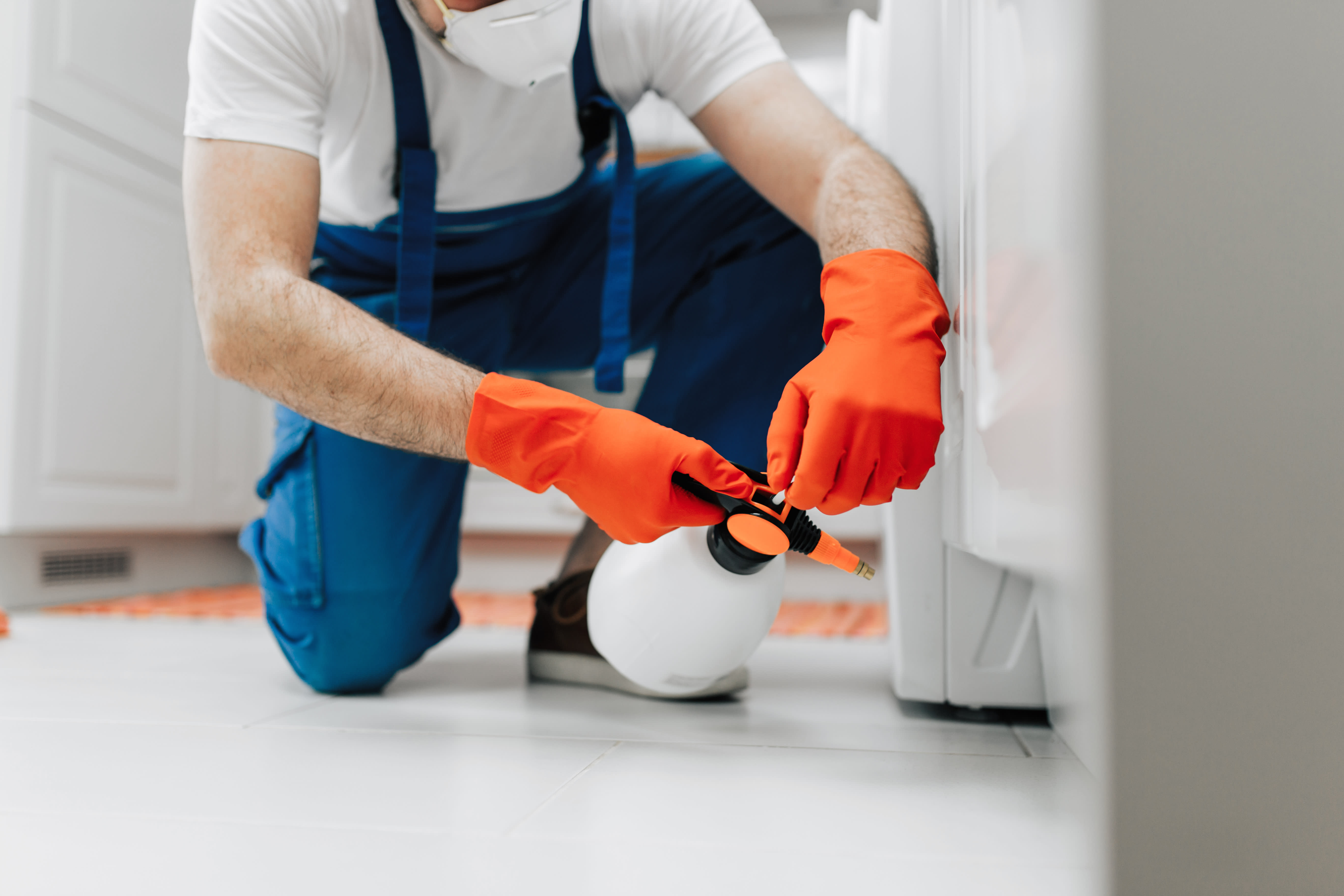 A professional spraying insecticides