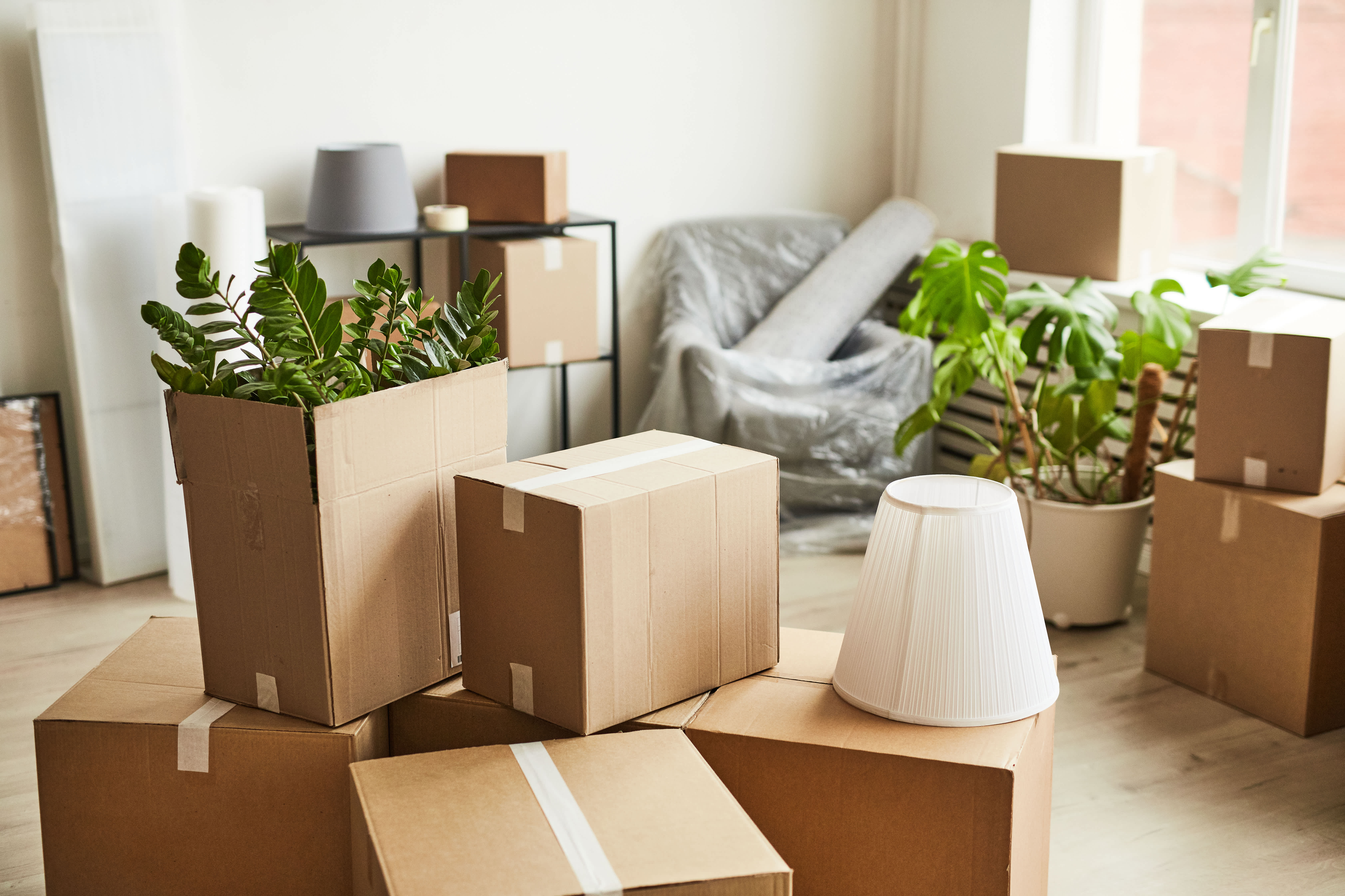 Stacks of cardboard boxes in a living room