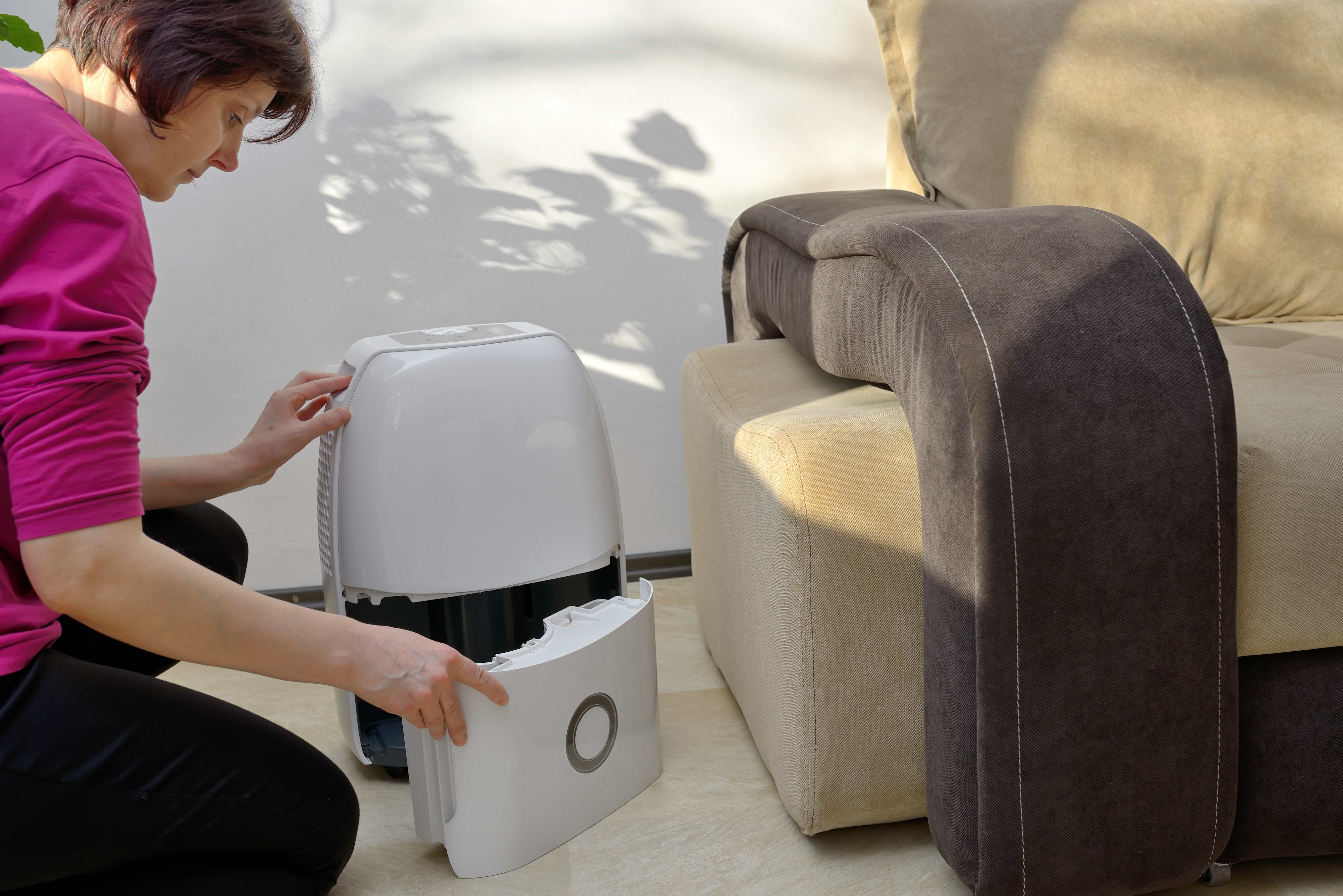 Woman setting up a humidifier in the living room
