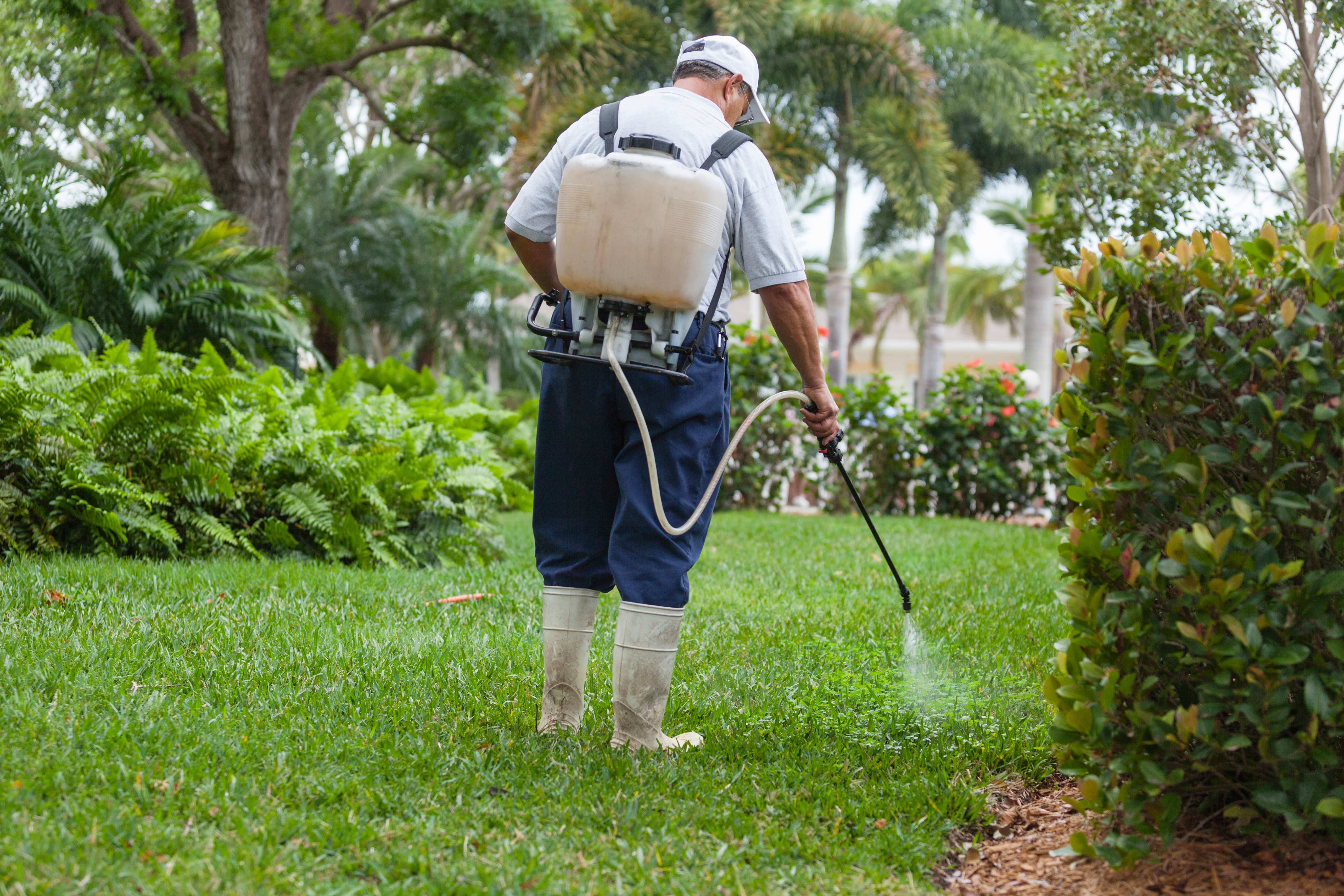 Pest control technician with portable spray