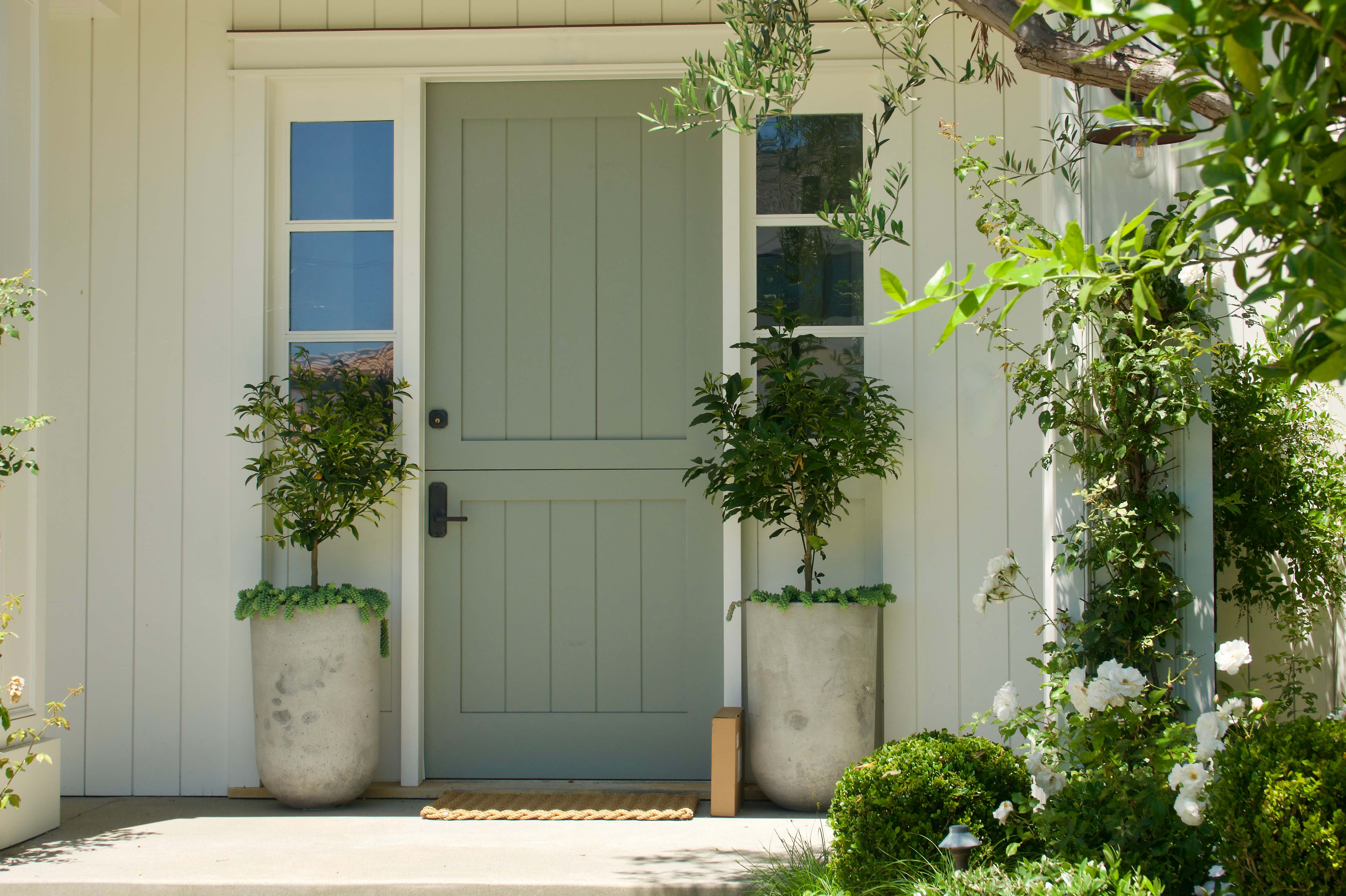 potted plants in garden