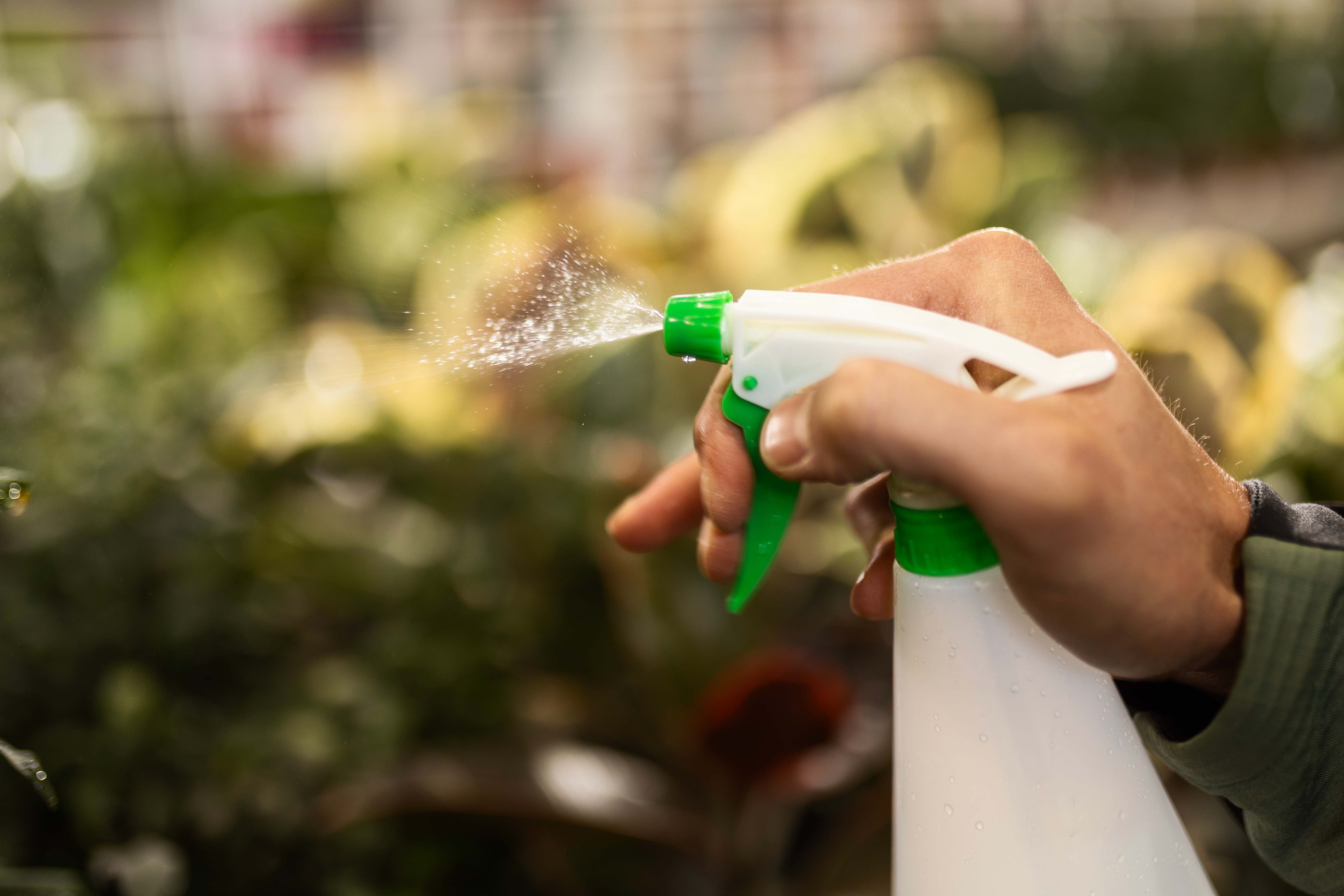 A person spraying water on plants