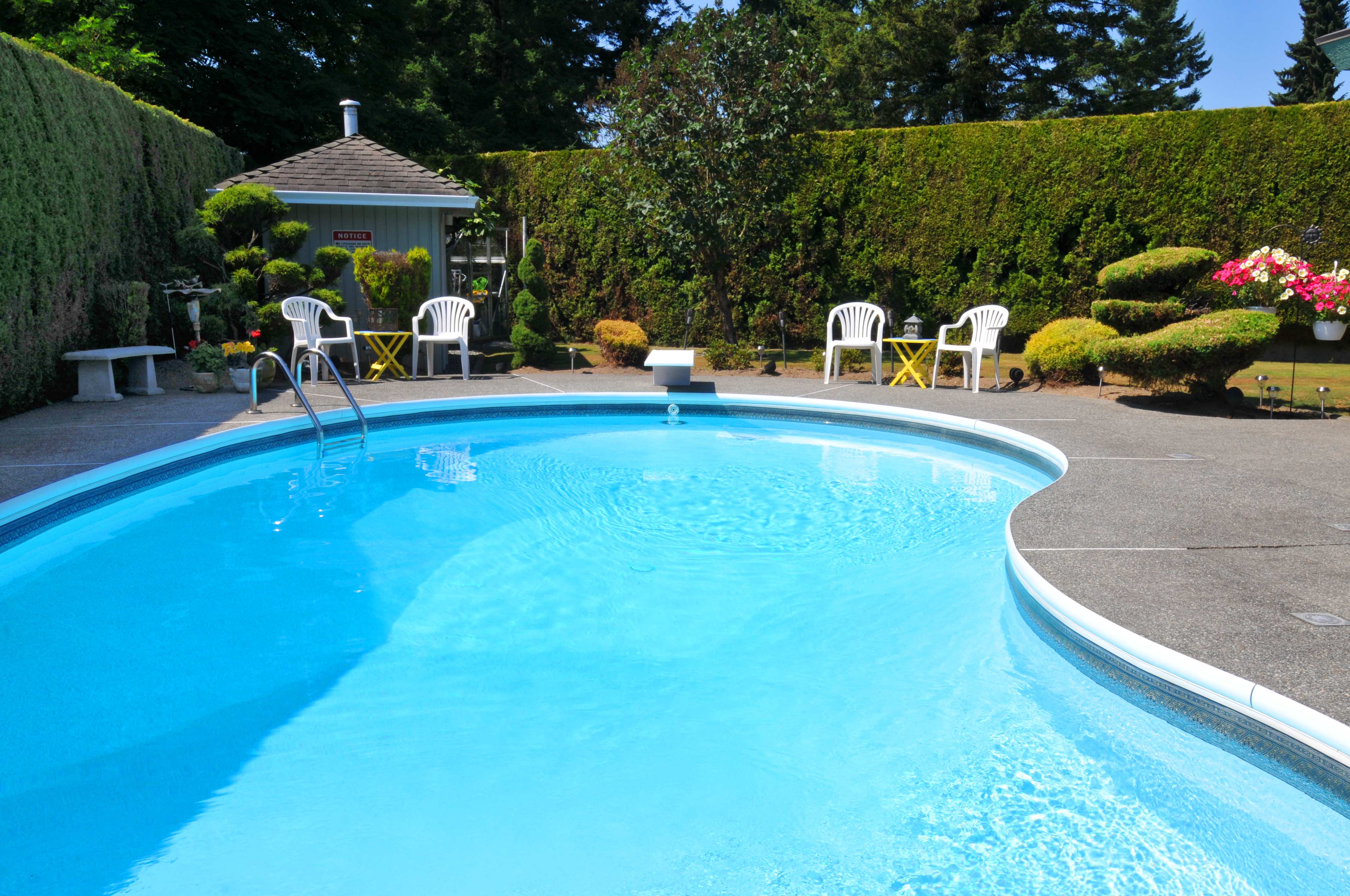 Large backyard pool