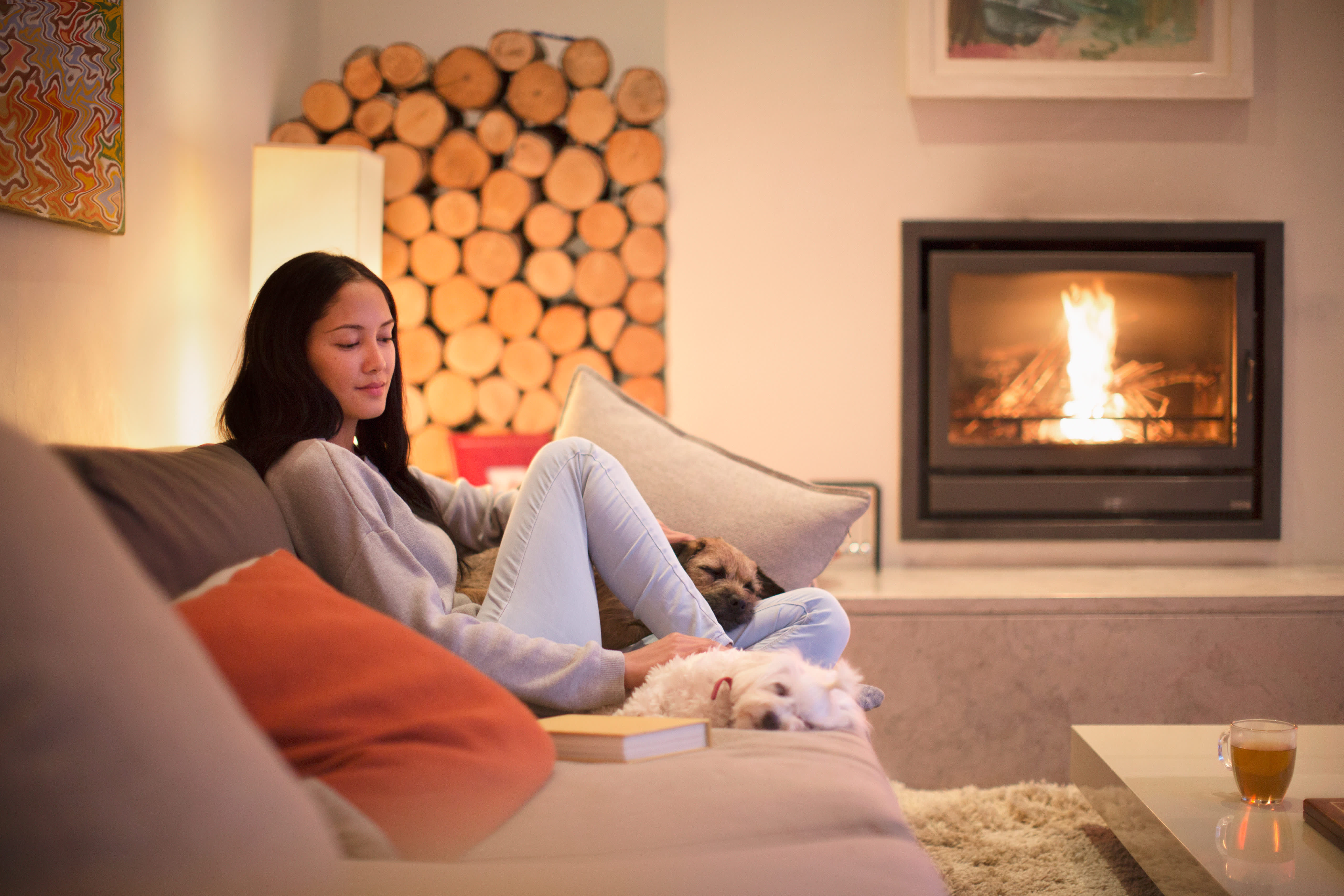 Woman and her dogs relaxing by a wood-burning fireplace