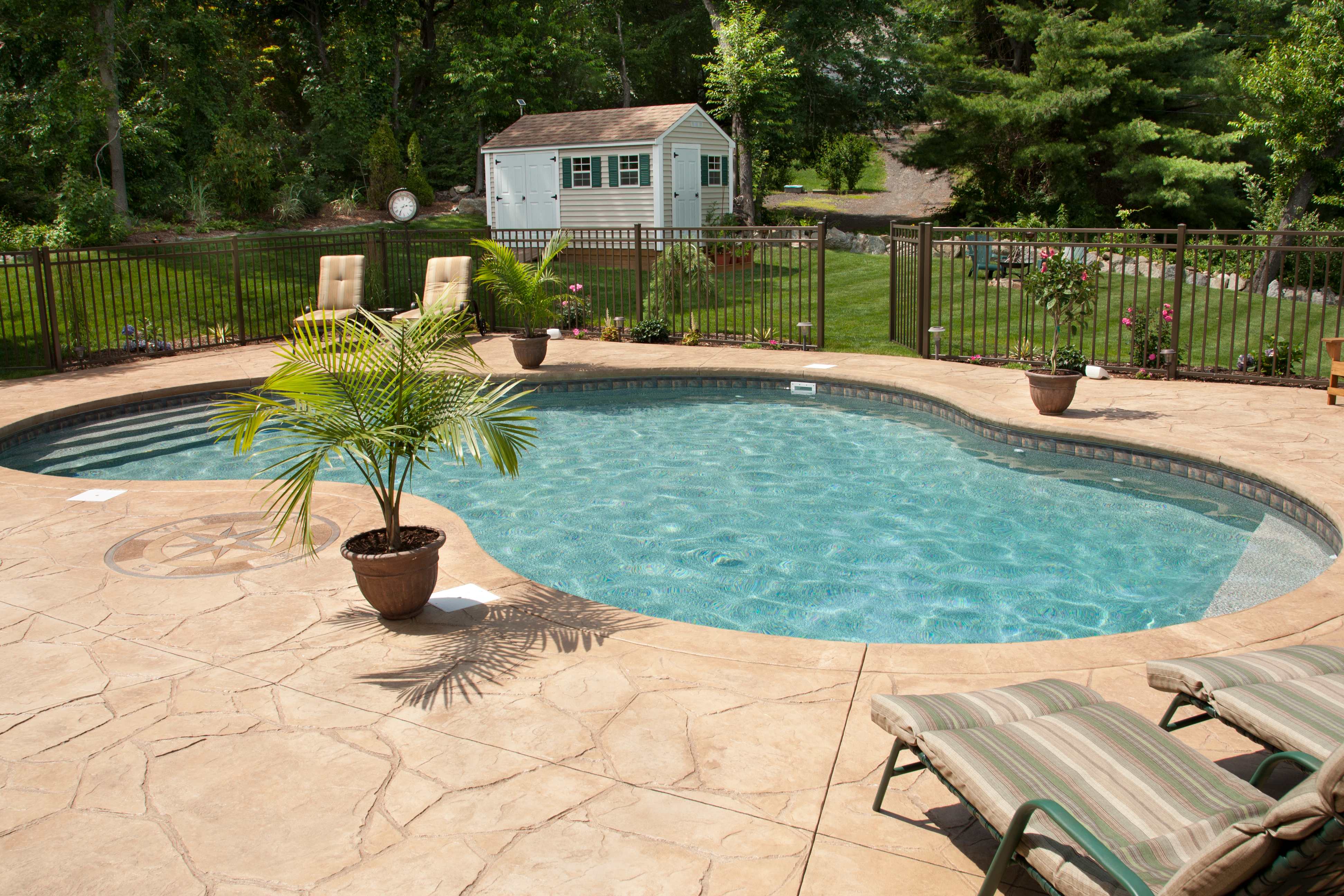 Backyard swimming pool