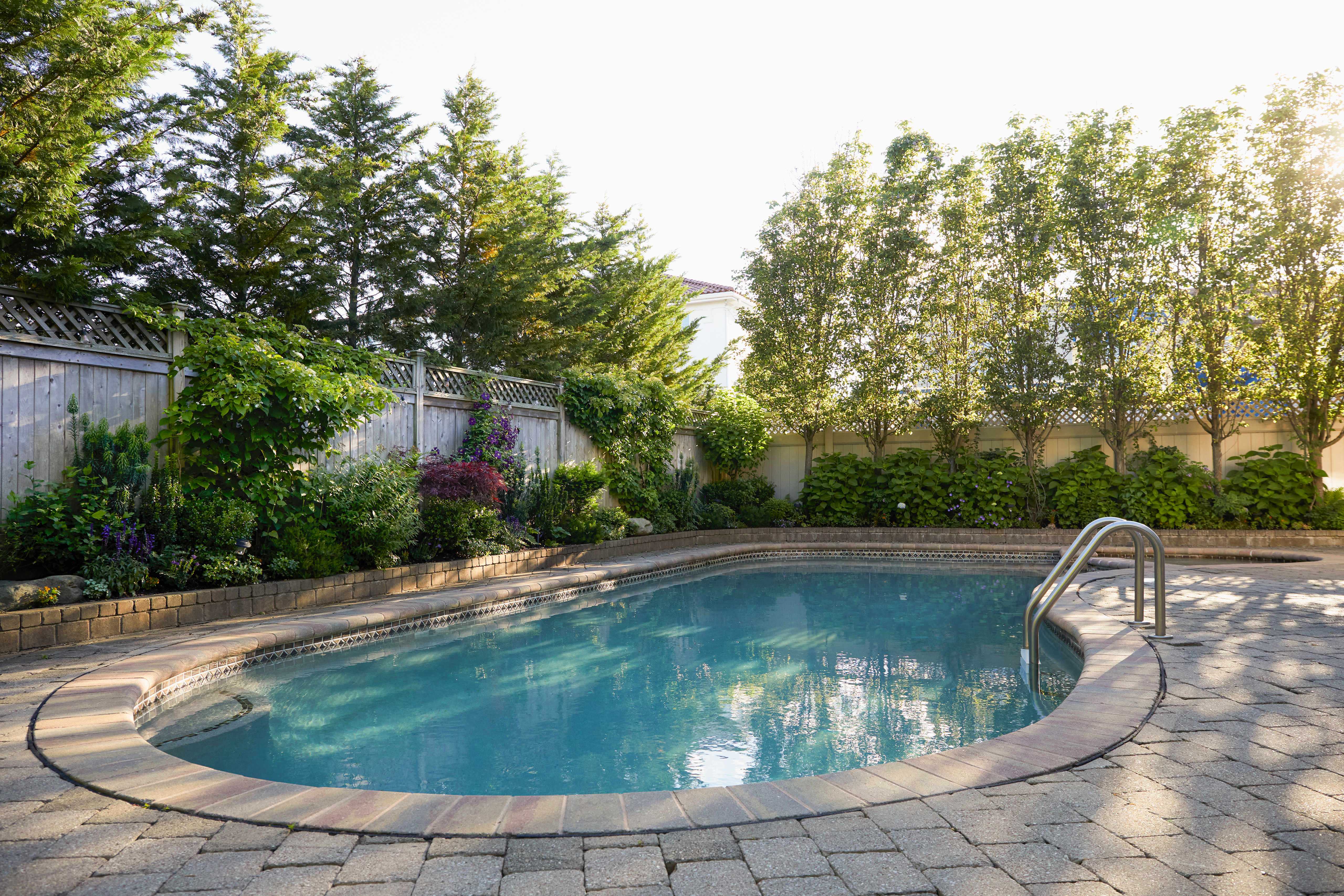 Swimming pool and trees in backyard