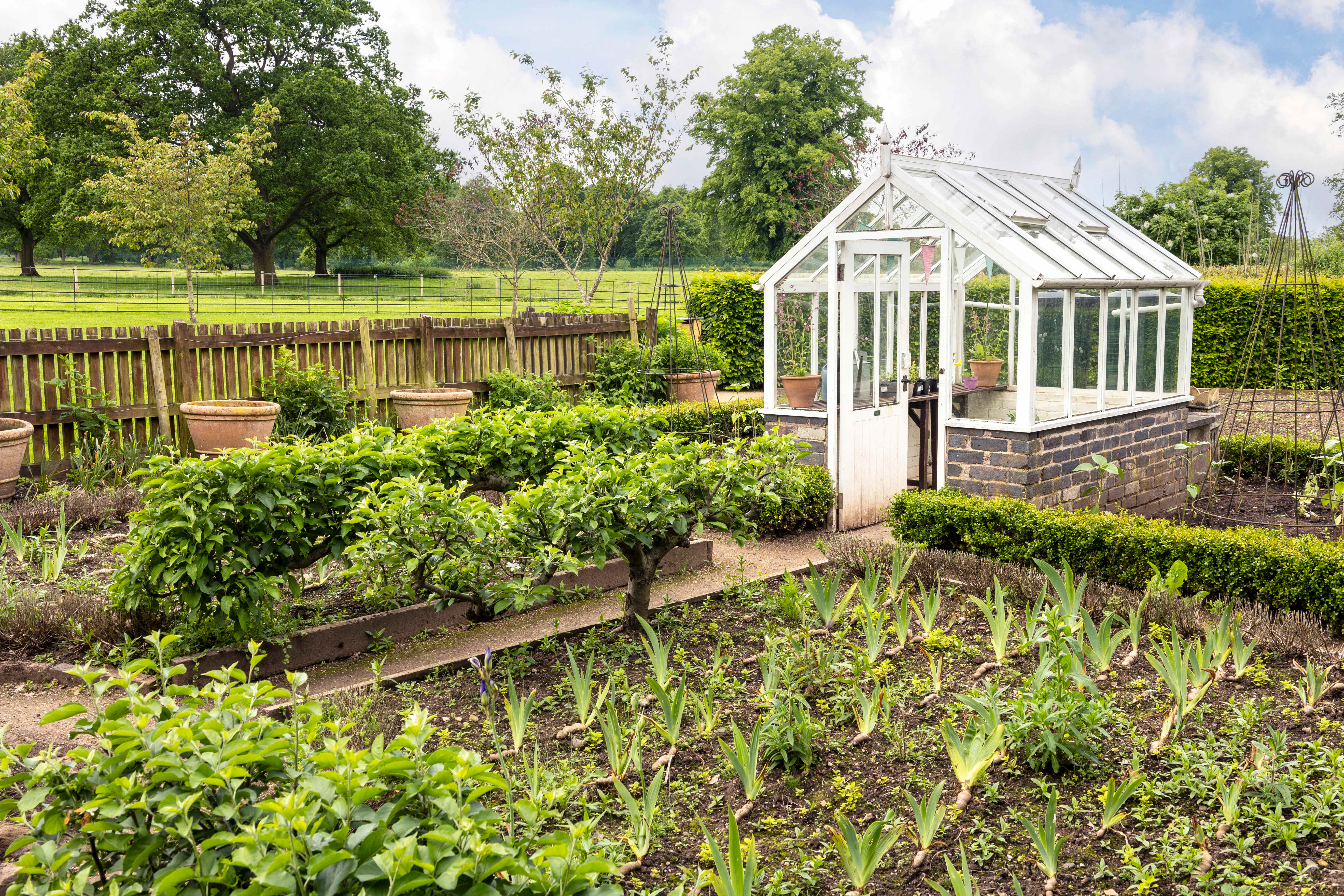 Glass greenhouse in the yard of a rural home