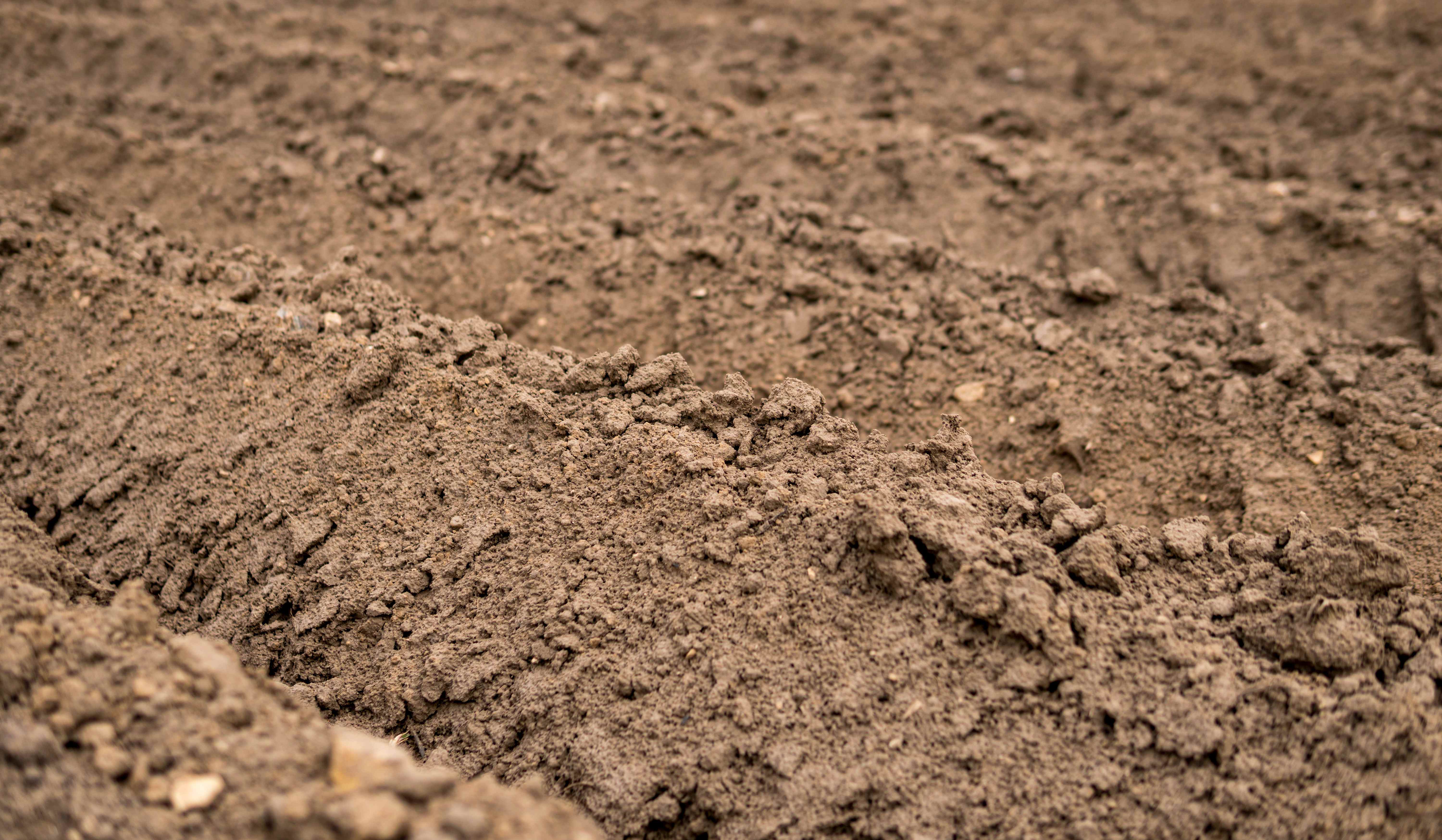 close up of dirt