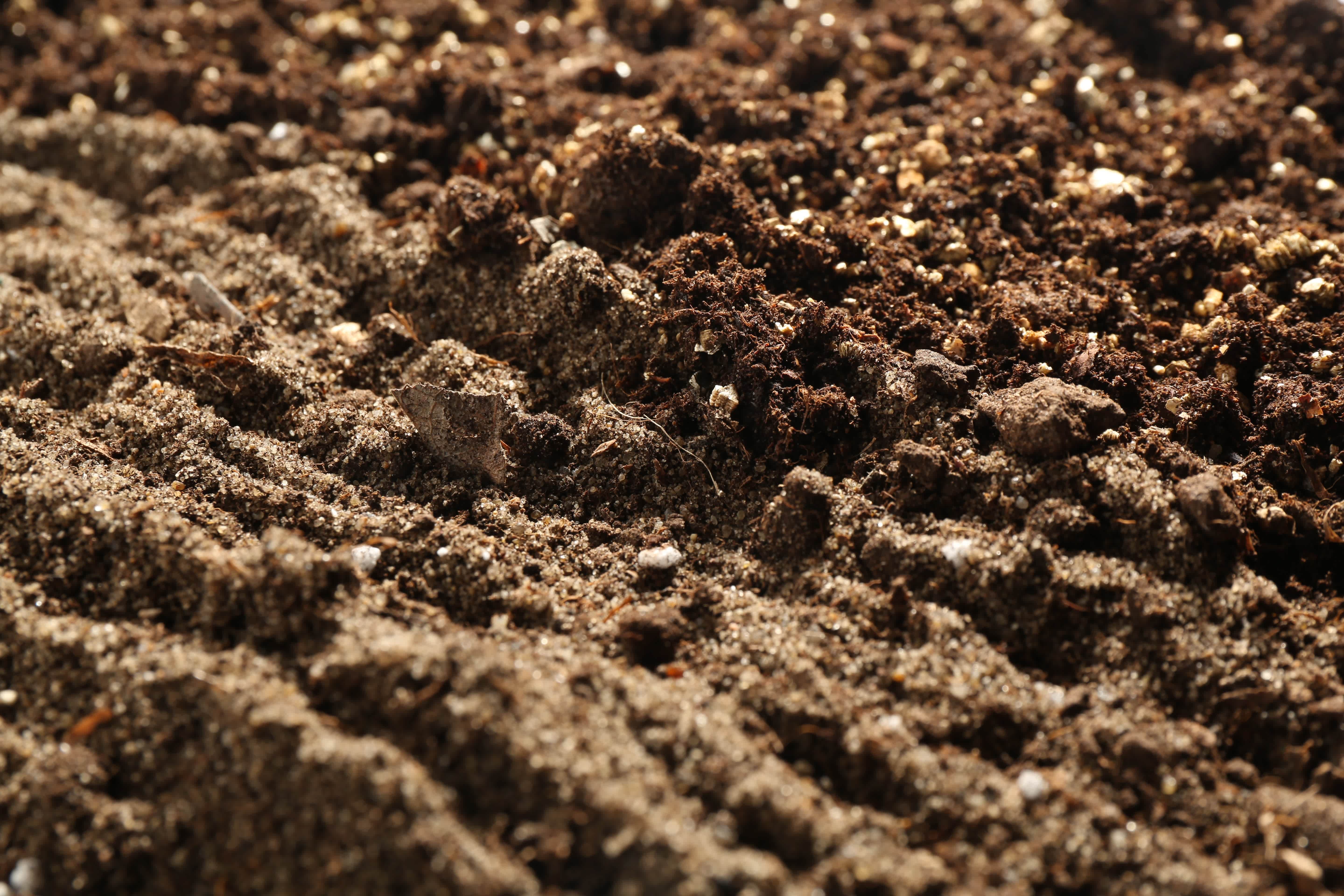 close up of soil