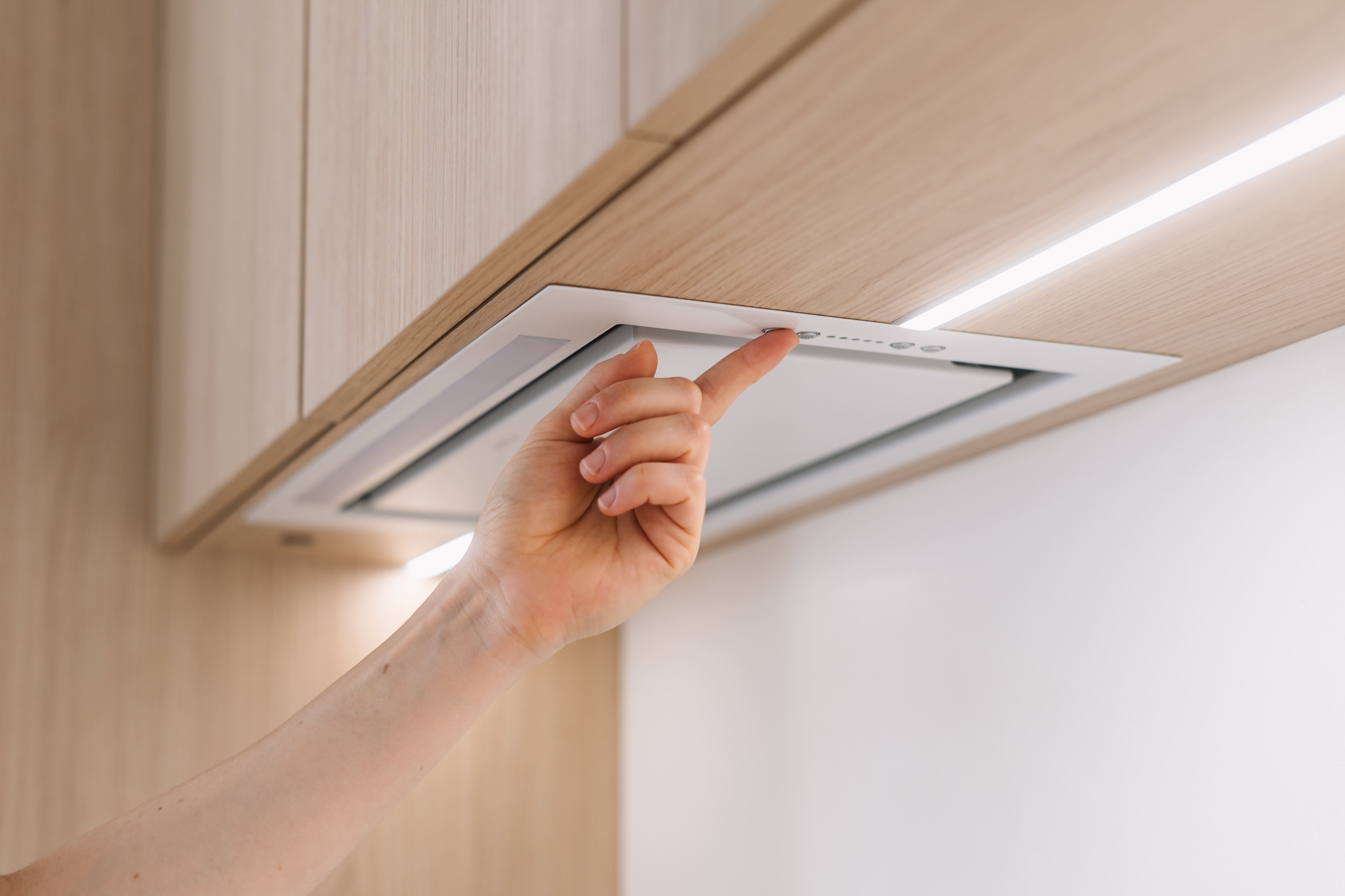 Modern kitchen design with insert vent hood