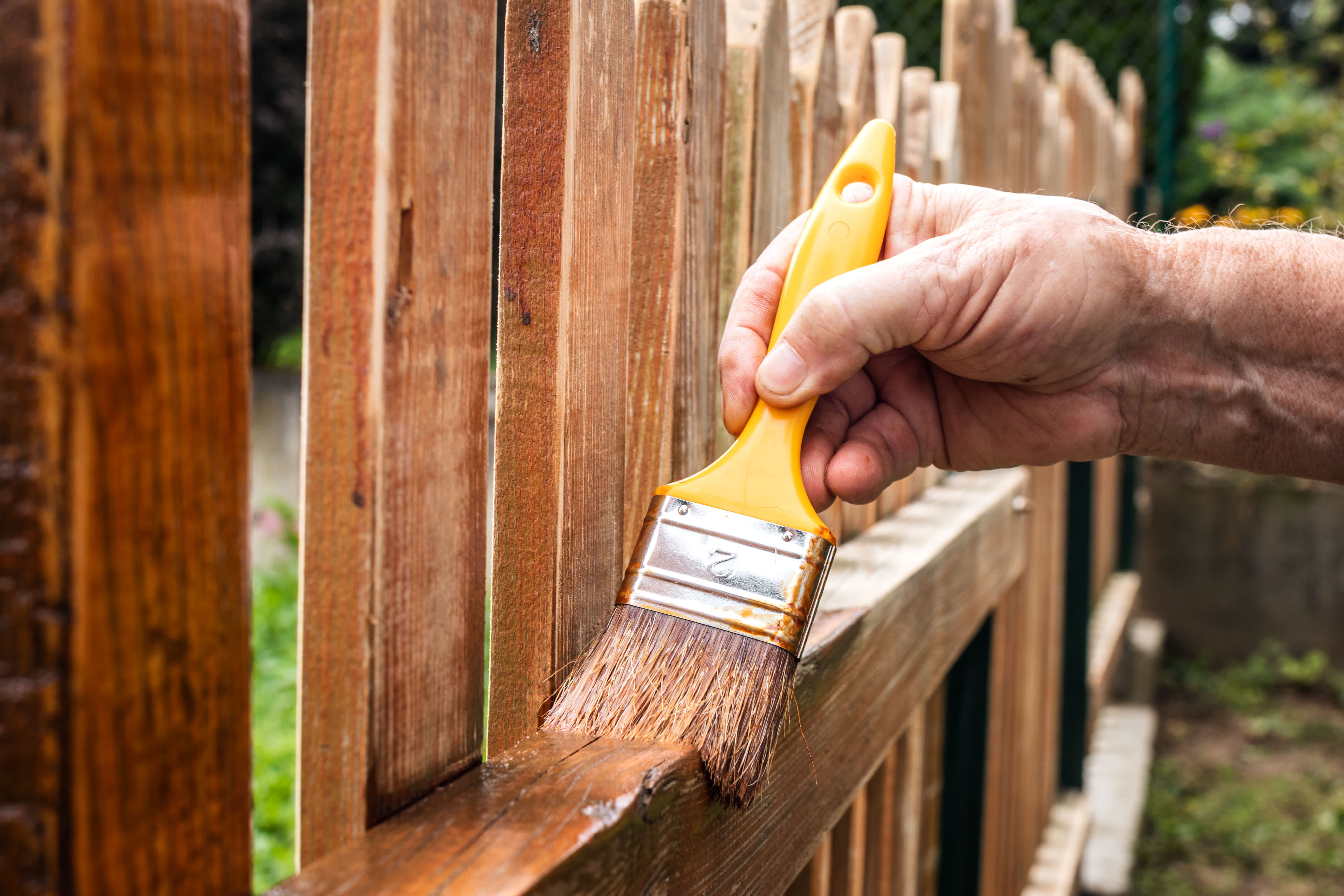 Man staining wooden fence