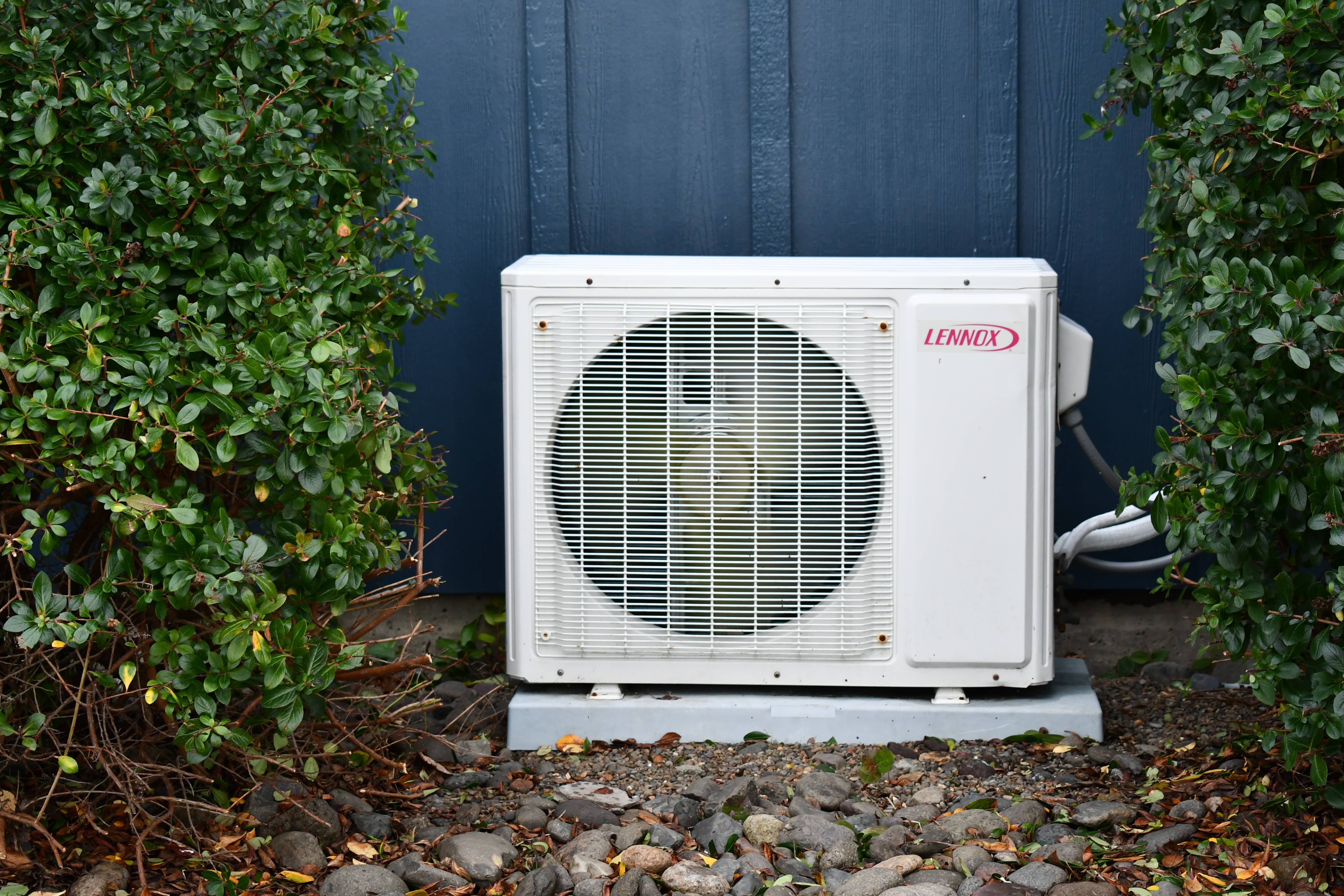 Mini split ac between bushes