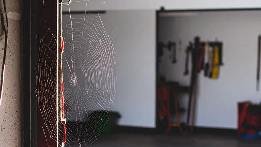 A spider web stretches across the edge of a garage doorway with tools and equipment visible in the background.