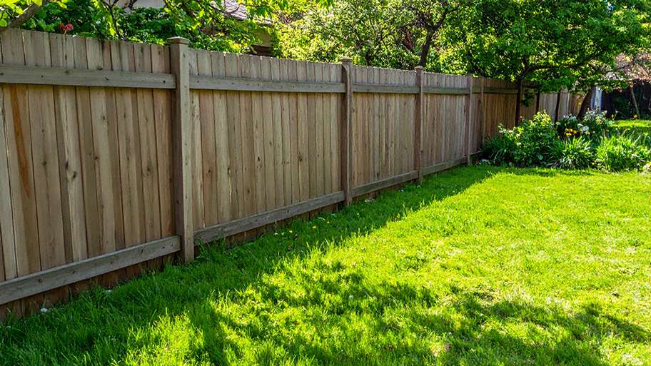 A well-maintained backyard with a bright green lawn and a tall, wooden privacy fence.
