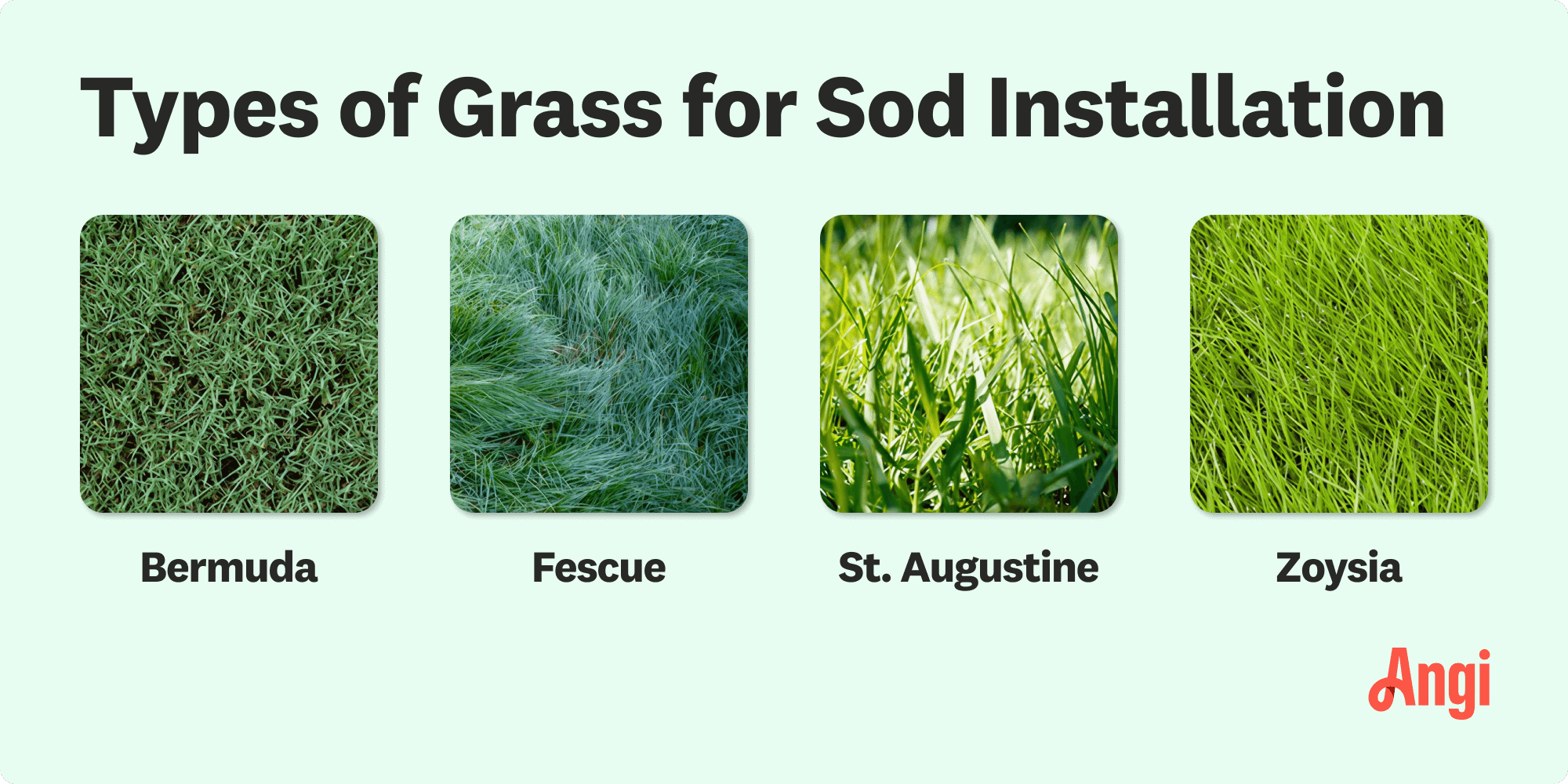 4 grass types for sod installation visually compared, including fescue, St. Augustine, and zoysia