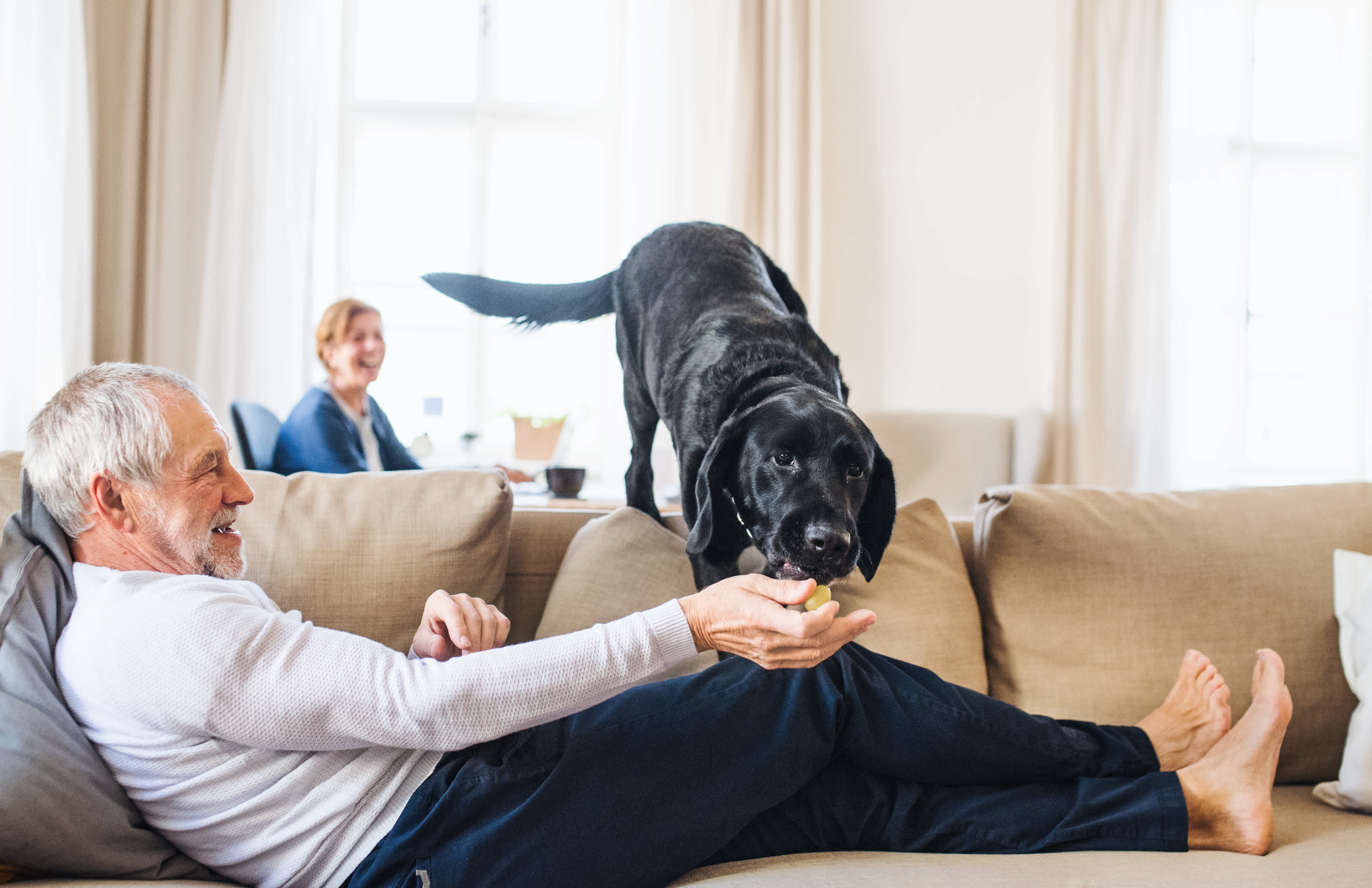 A man sitting on the couch playing with a black Labrador